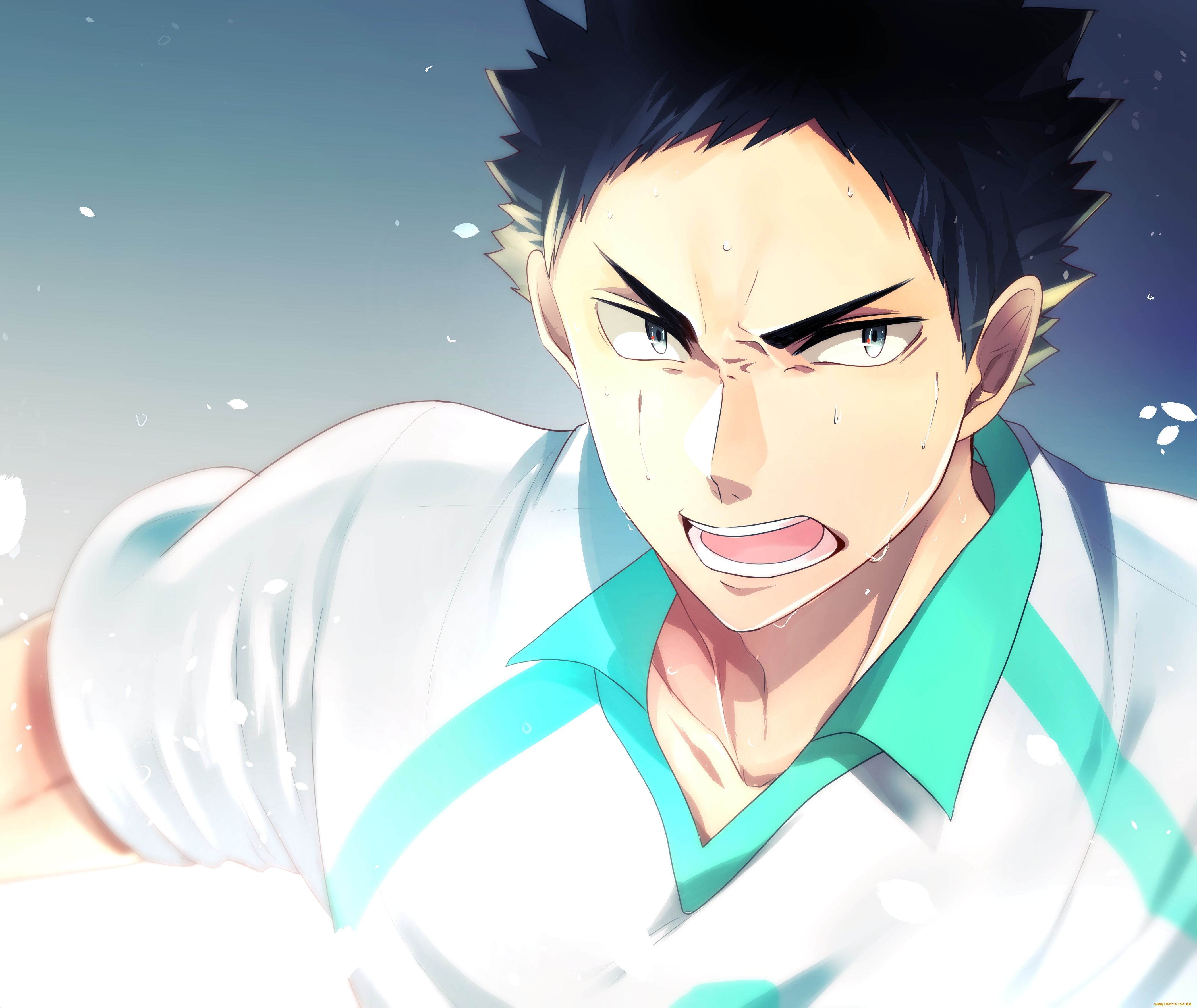 аниме, haikyuu, iwaizumi, hajime