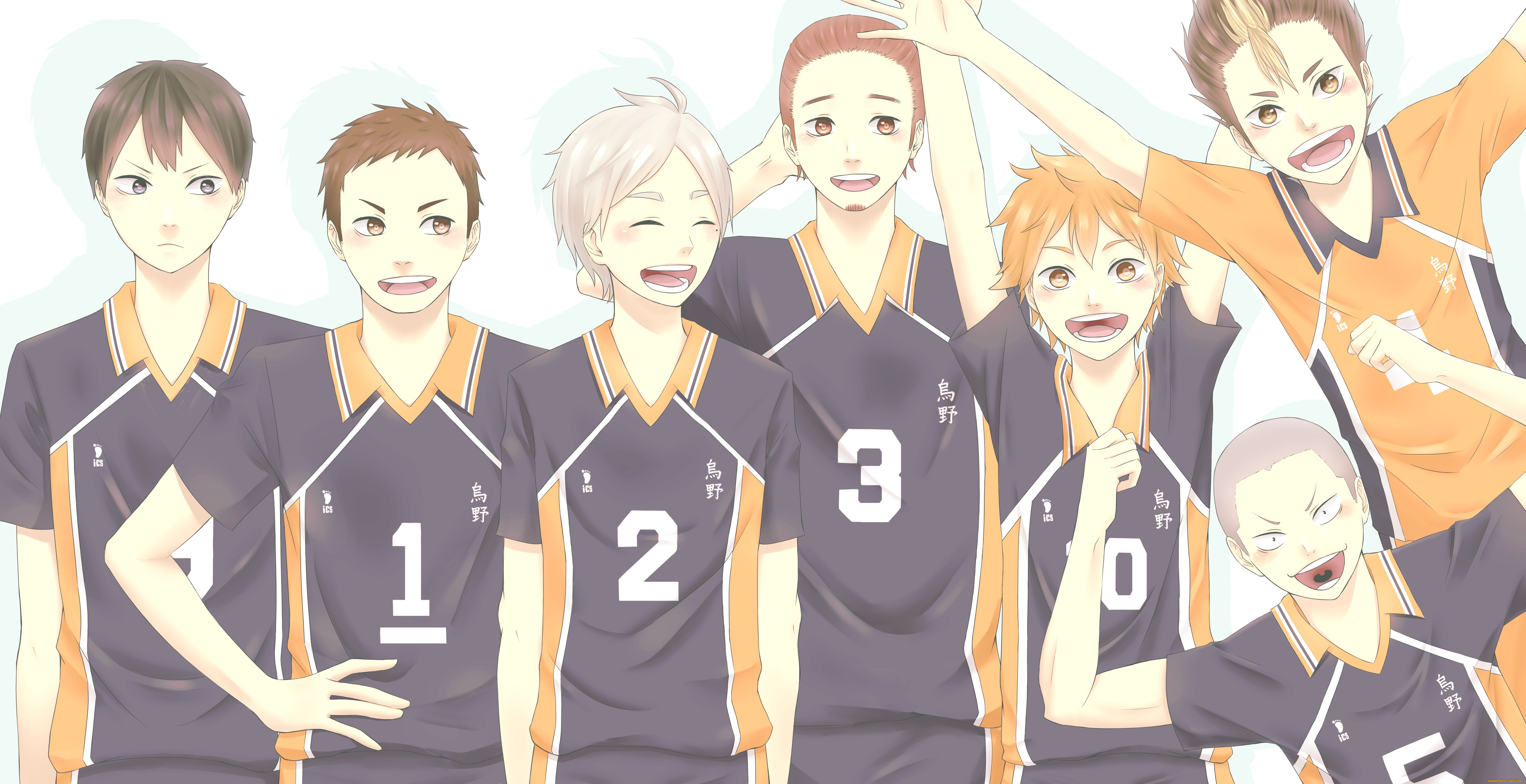 аниме, haikyuu, karasuno, high