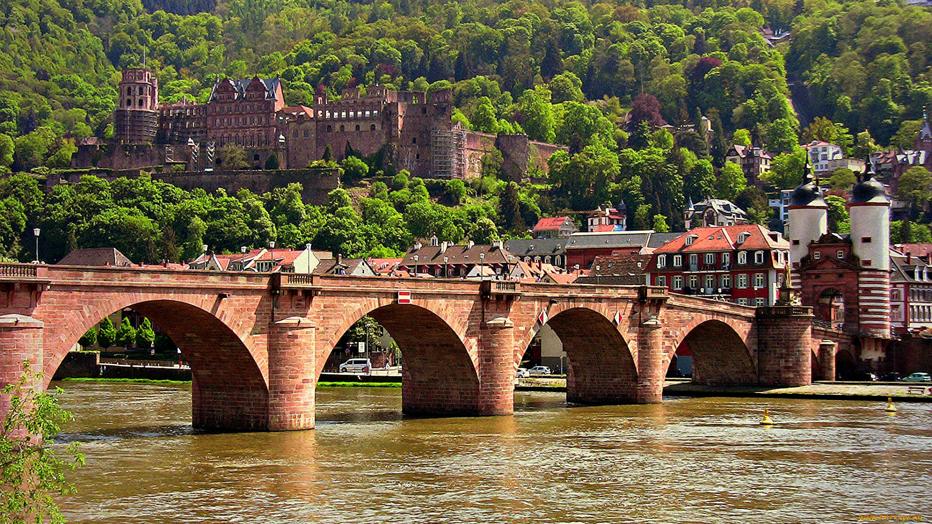 germany, , heidelberg, города, -, мосты, мост, река