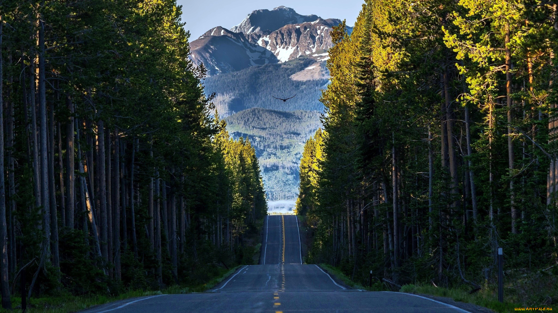 природа, дороги, шоссе, лес, горы