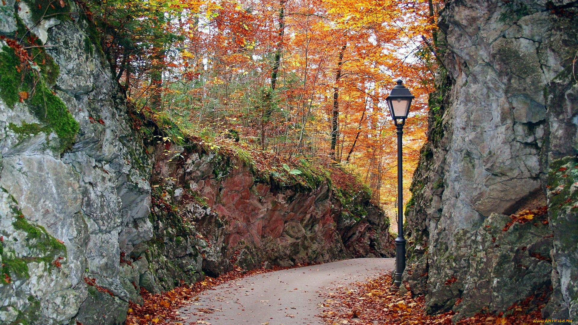 природа, парк, листопад, осень, фонарь