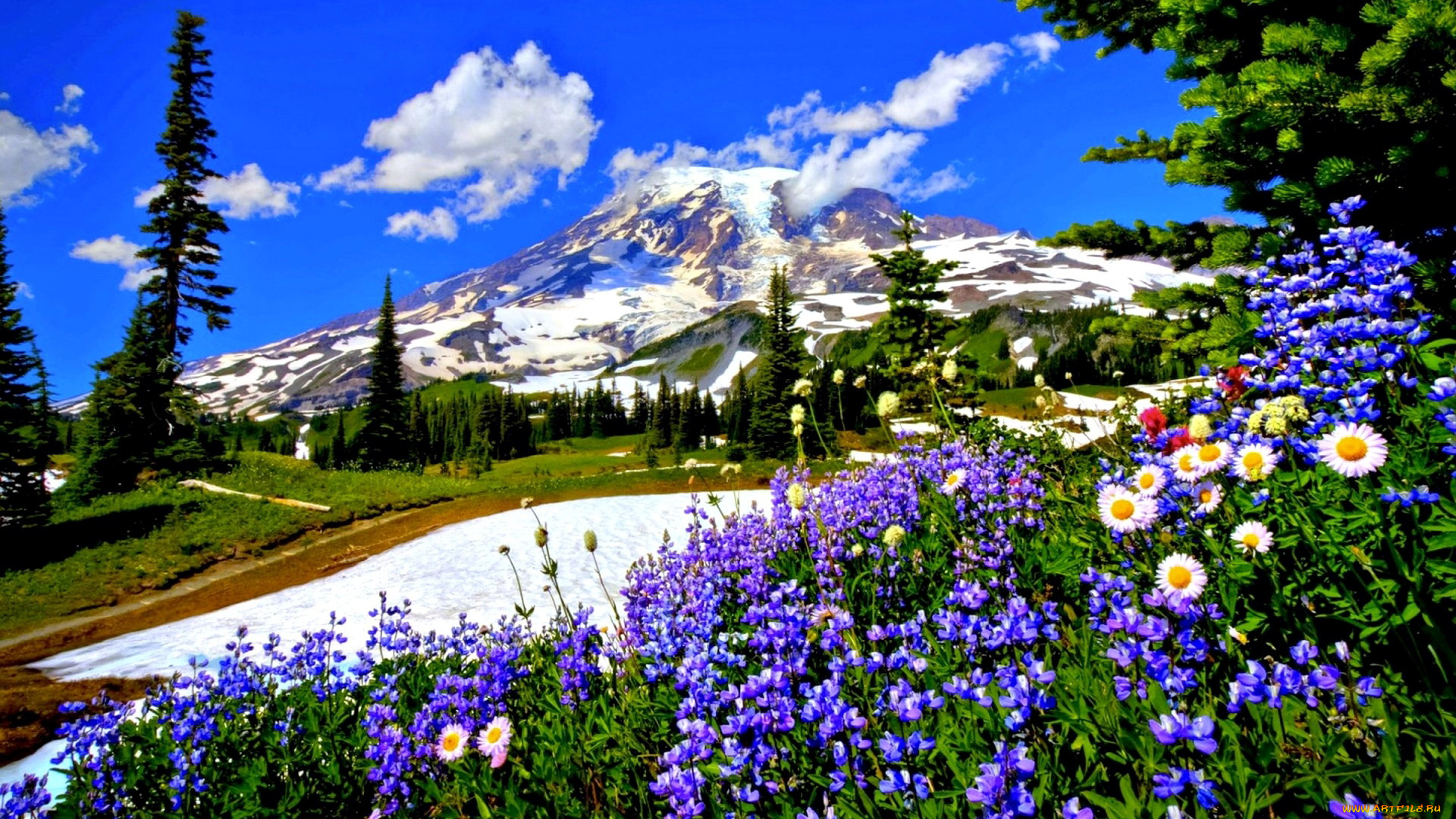 природа, горы, гора, облака, дорога, цветы