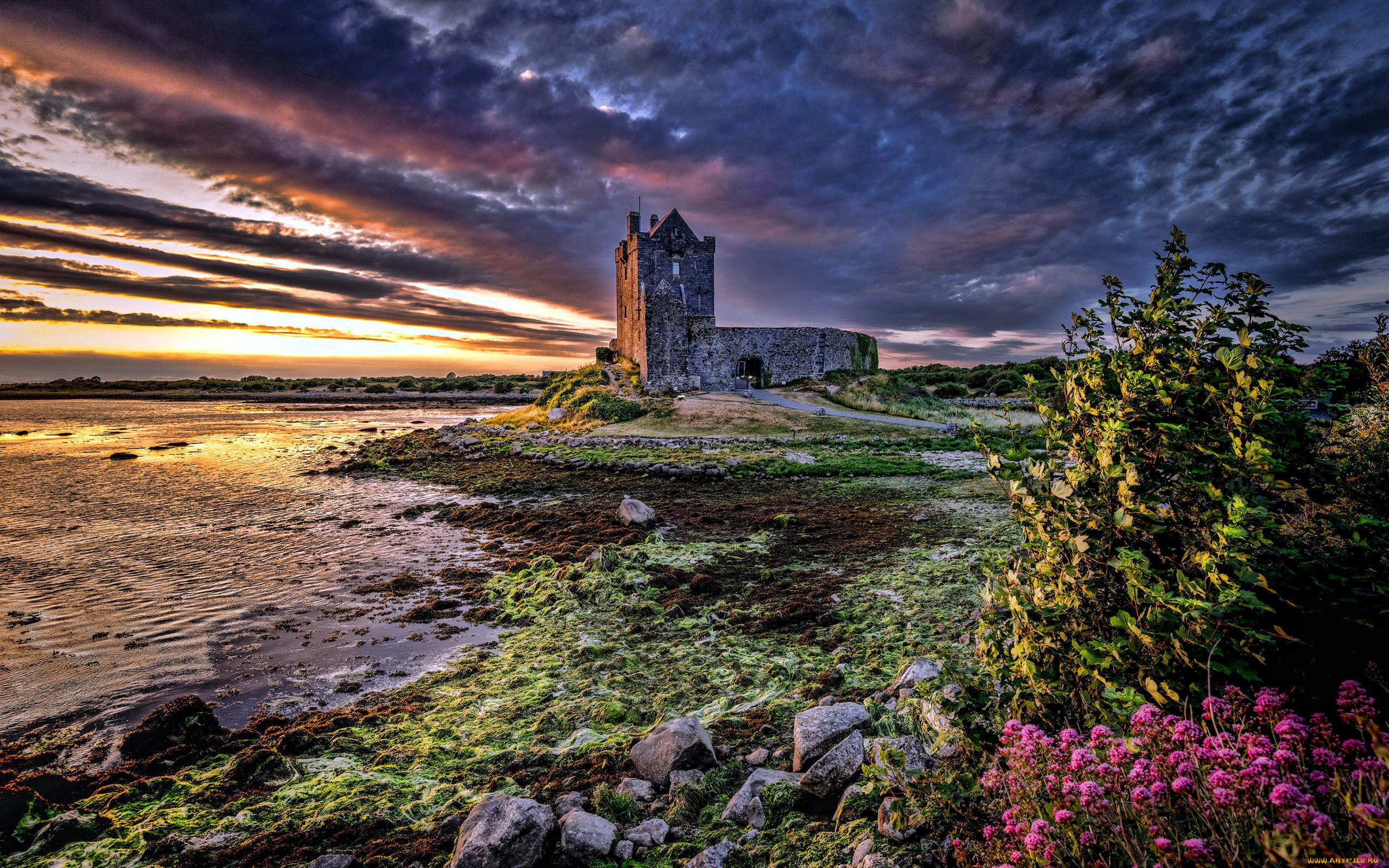 dunguaire, castle, galway, ireland, города, замок, дангвайр, , ирландия, dunguaire, castle