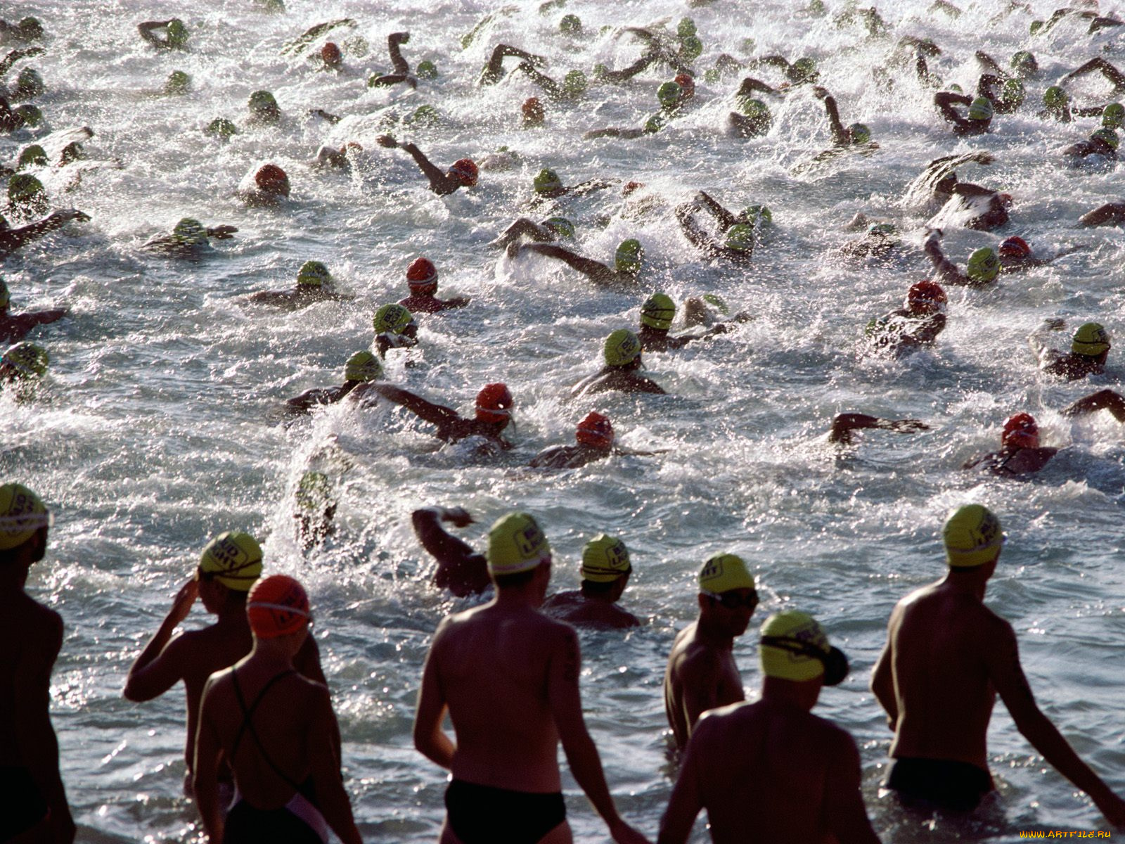 спорт, водный