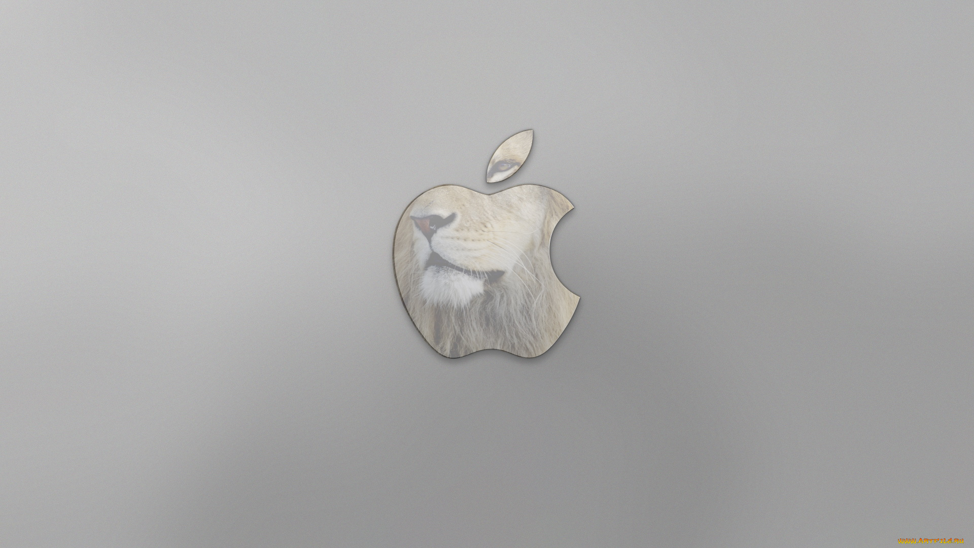 компьютеры, apple, яблоко, лев, серый, логотип