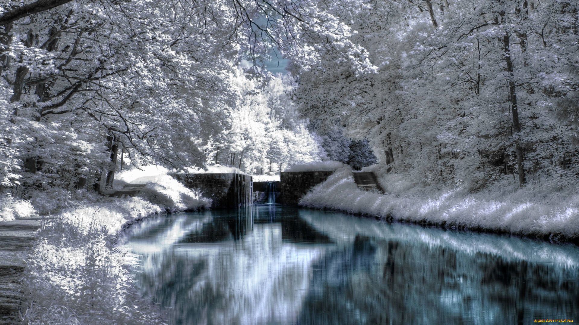 зимний, парк, природа, зима, канал