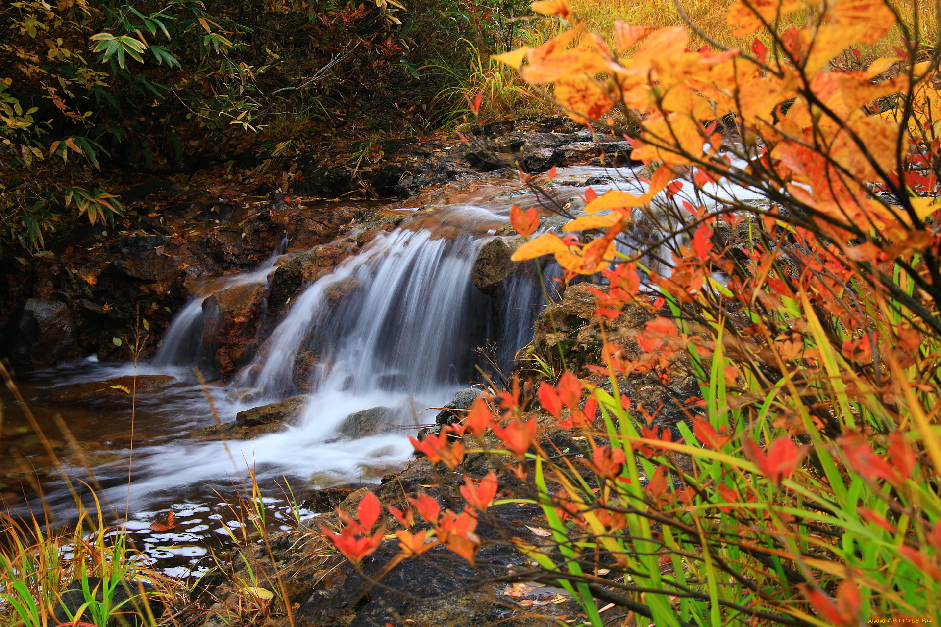 природа, водопады, камни, вода, лес, осень