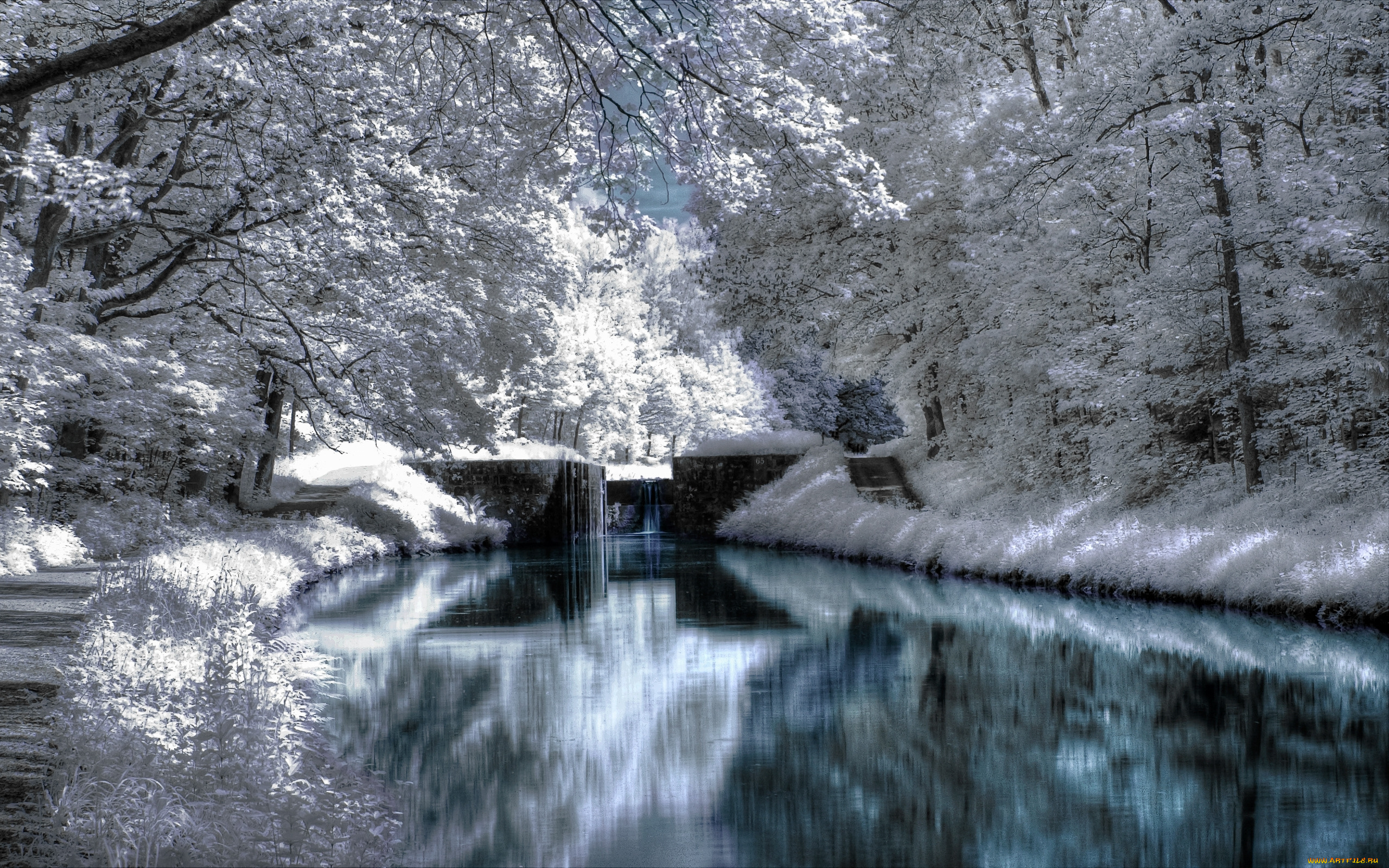 зимний, парк, природа, зима, канал