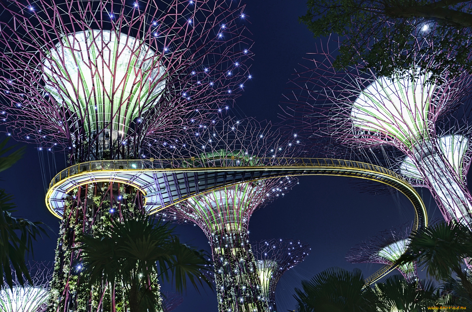 города, сингапур, освещение, оригинальный, дизайн, сад