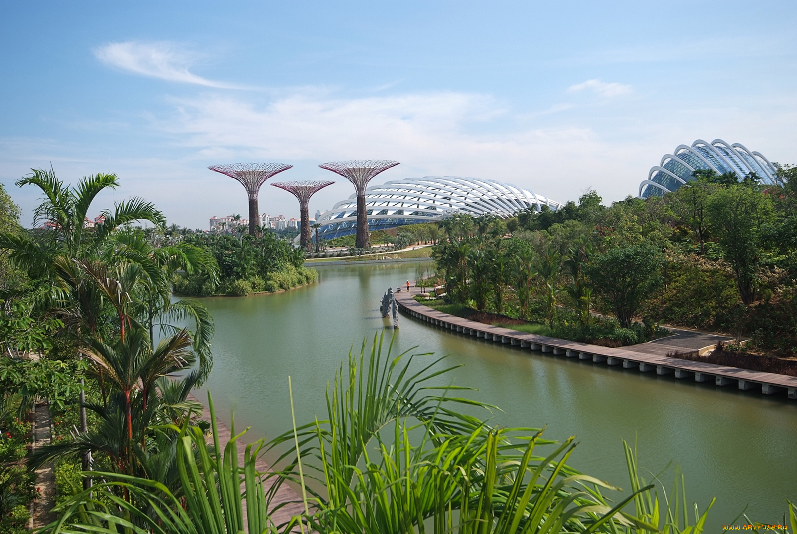 города, сингапур, река, сад, парк