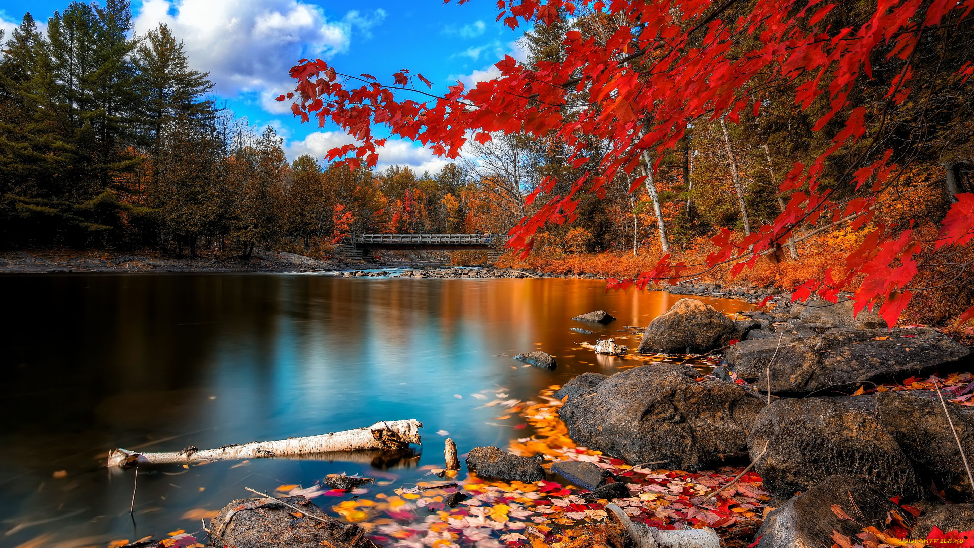 природа, реки, озера, камни, река, мост, деревья, листья, пейзаж, осень