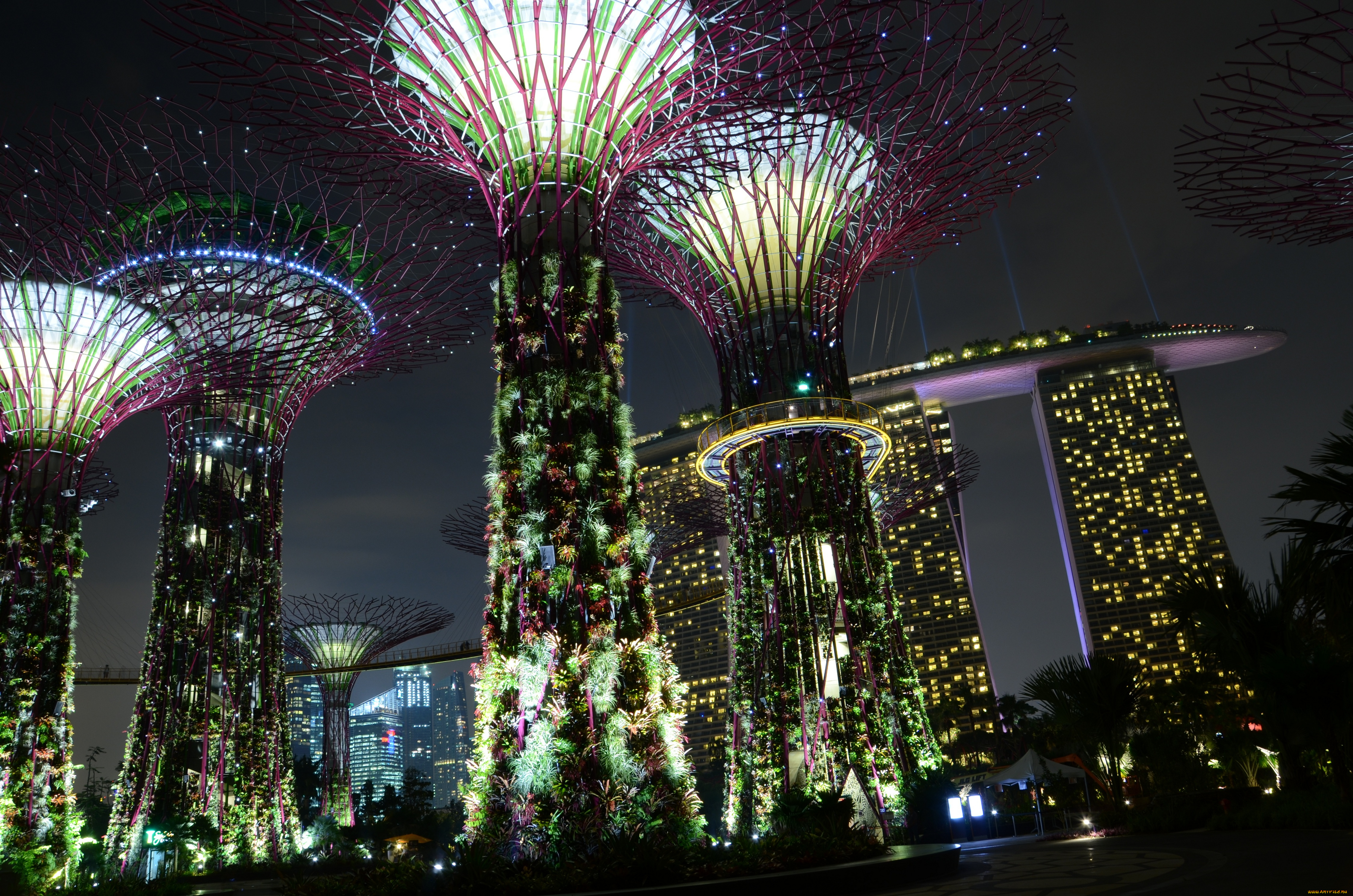 города, сингапур, оригинальный, дизайн, сад, освещение