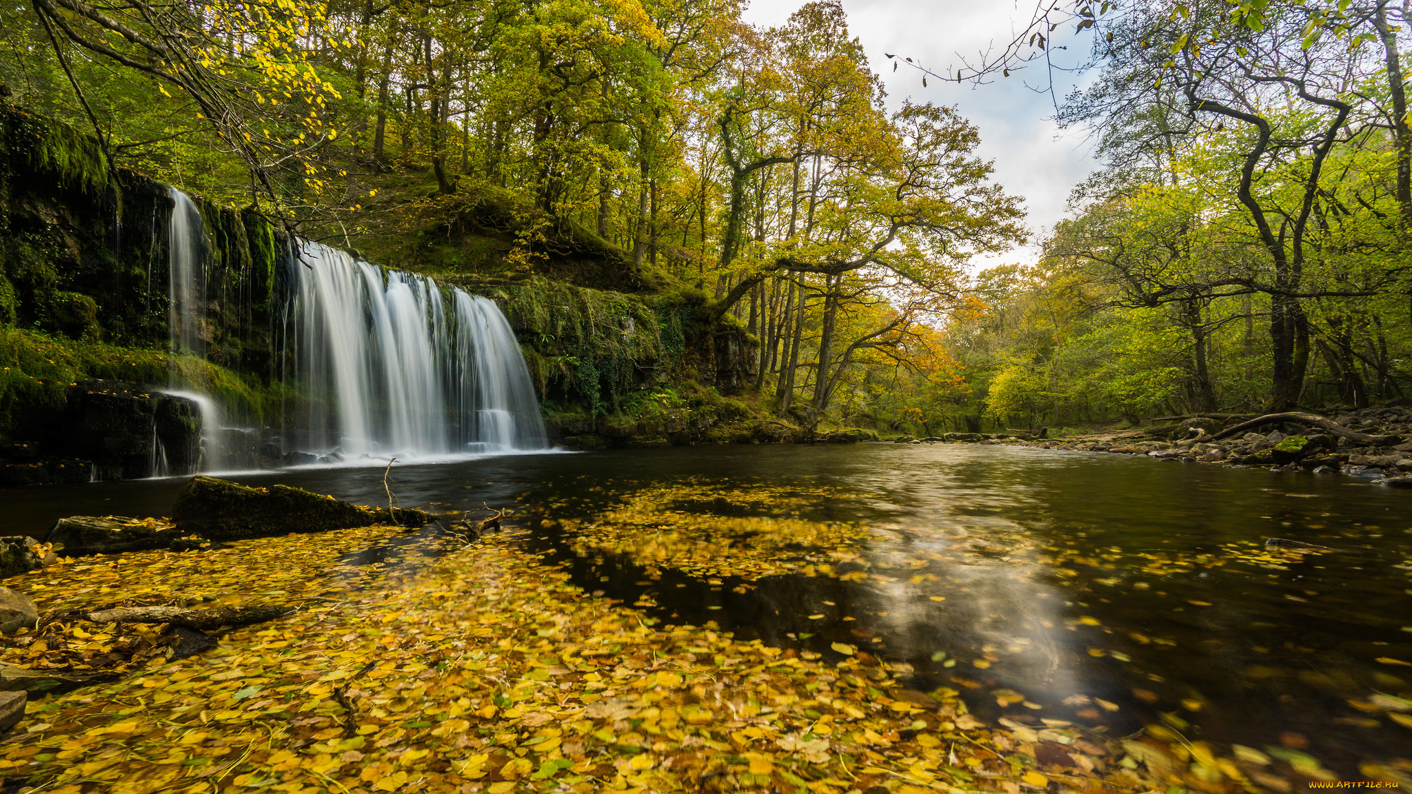 природа, водопады, водопад, река, лес