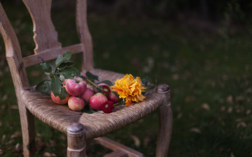 Картинка еда Яблоки подсолнух яблоки стул