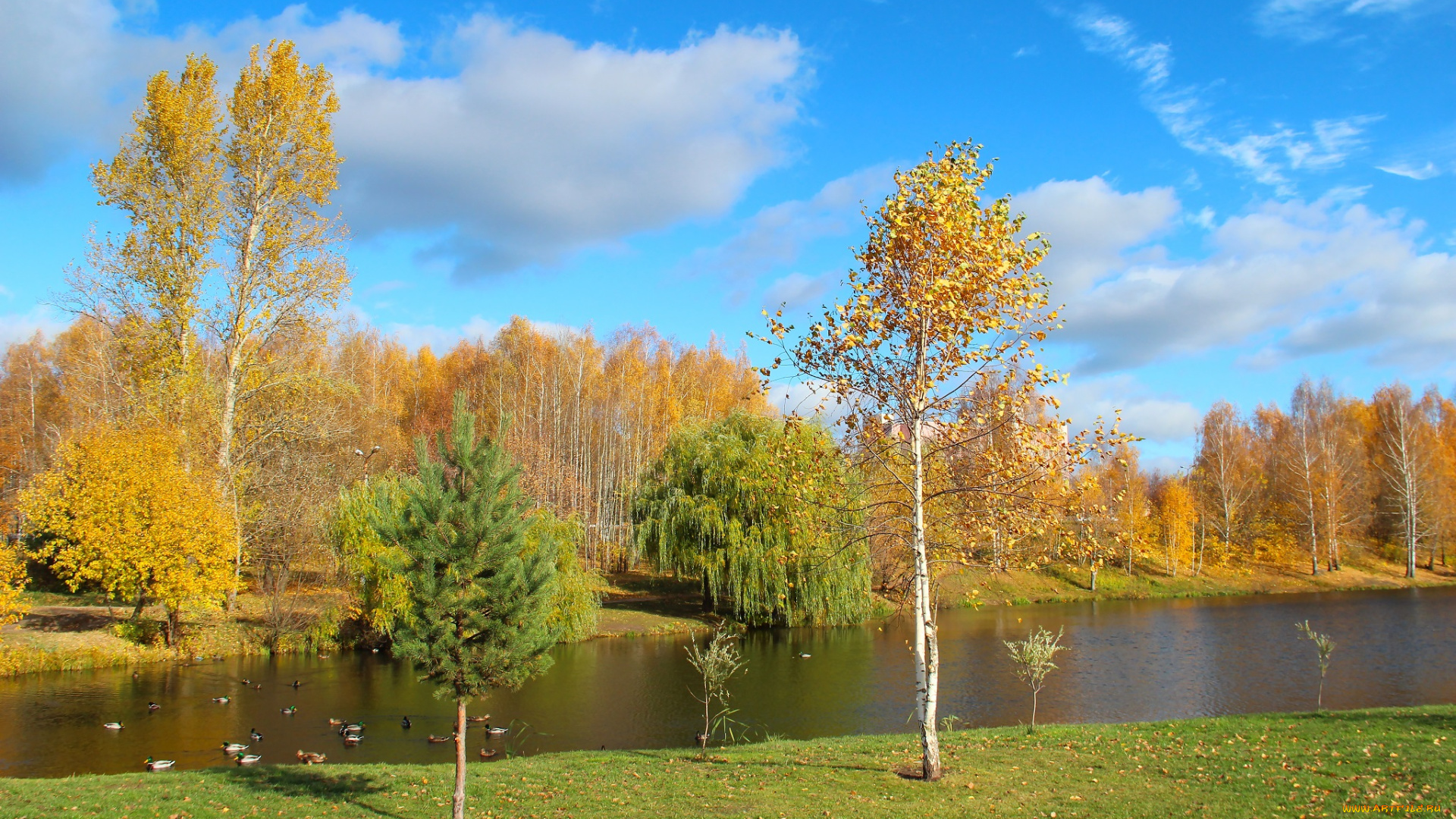 природа, реки, озера, парк, золотая, осень, пейзаж, октябрь, красота