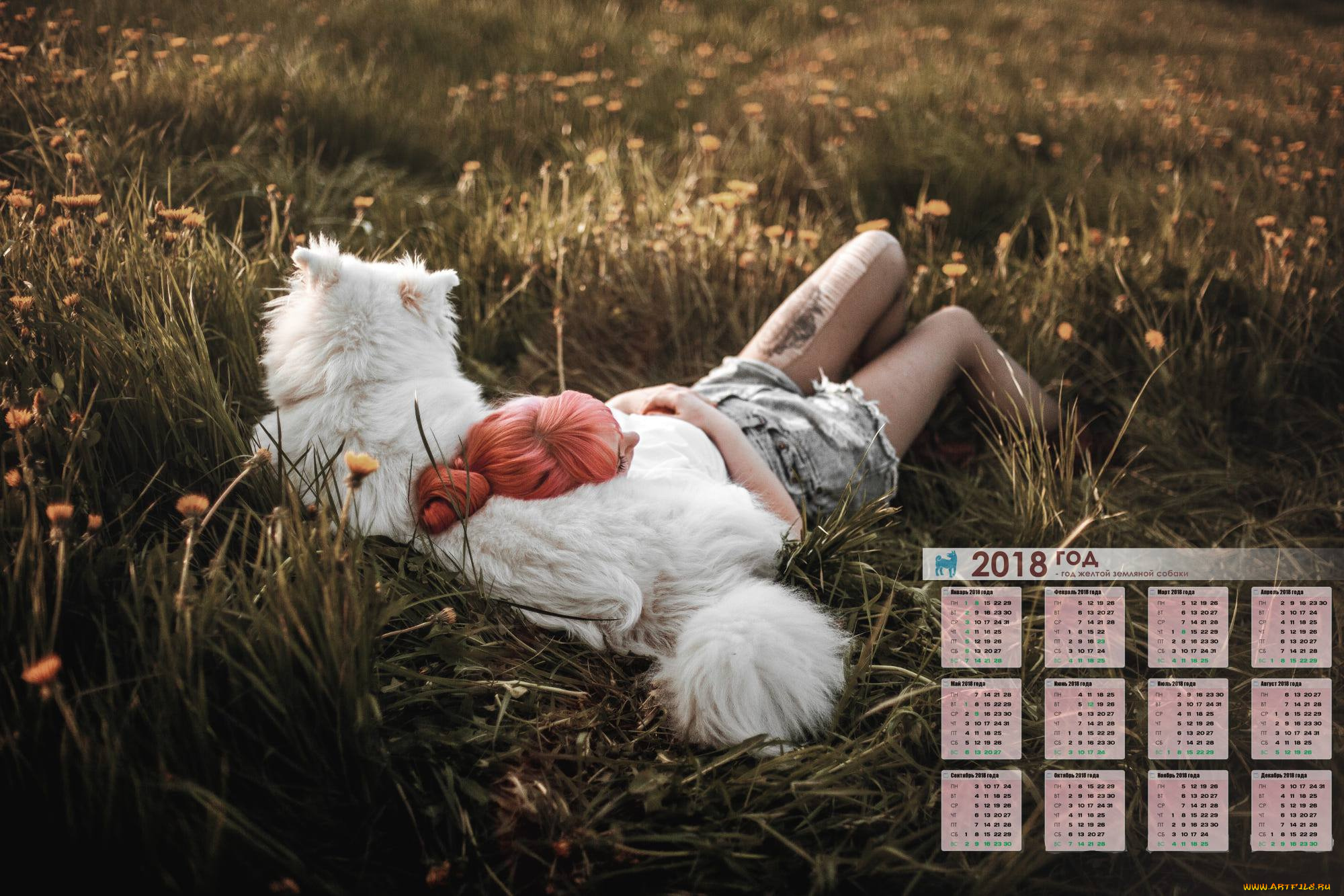 календари, девушки, растения, собака
