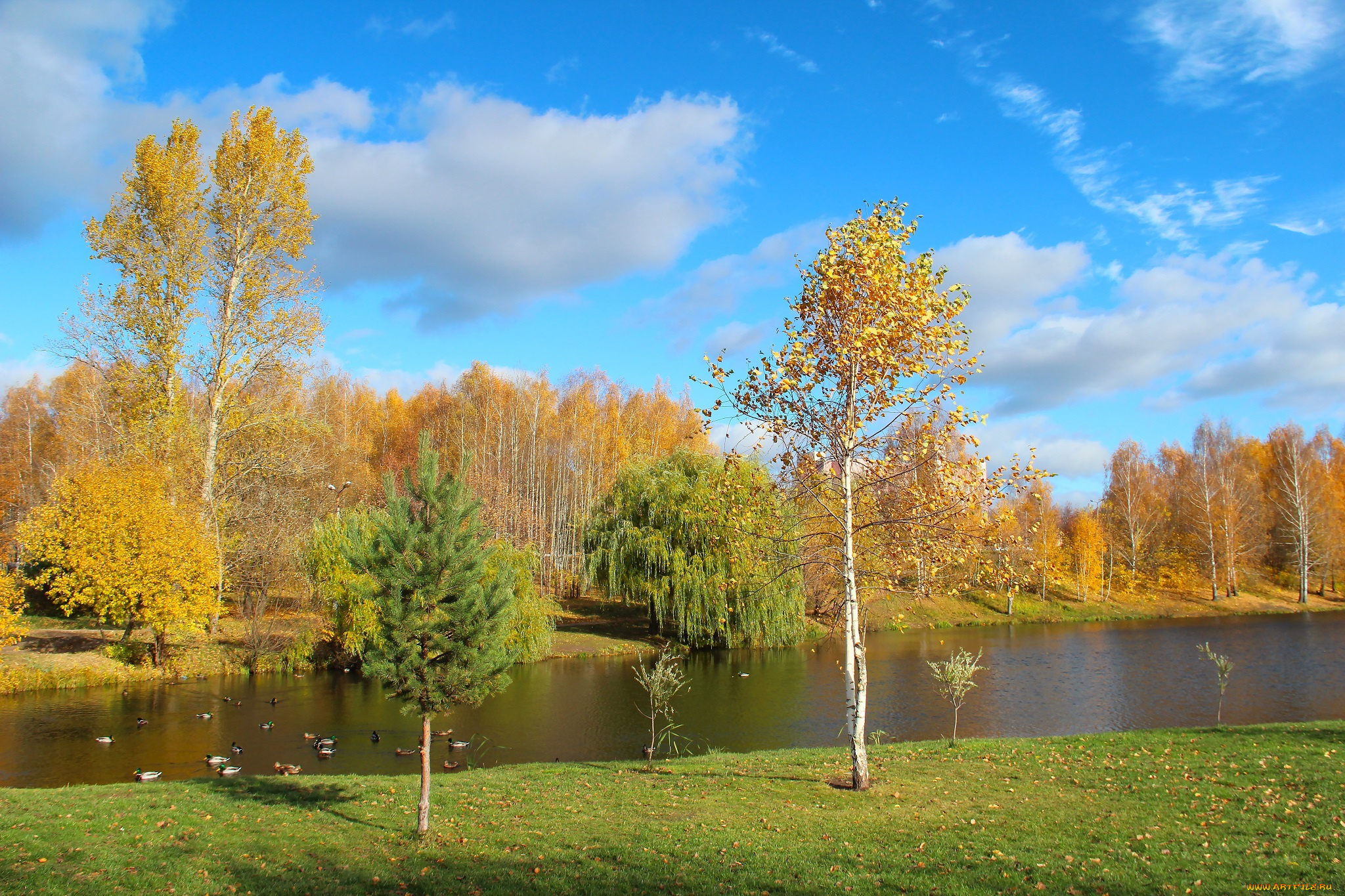 природа, реки, озера, парк, золотая, осень, пейзаж, октябрь, красота