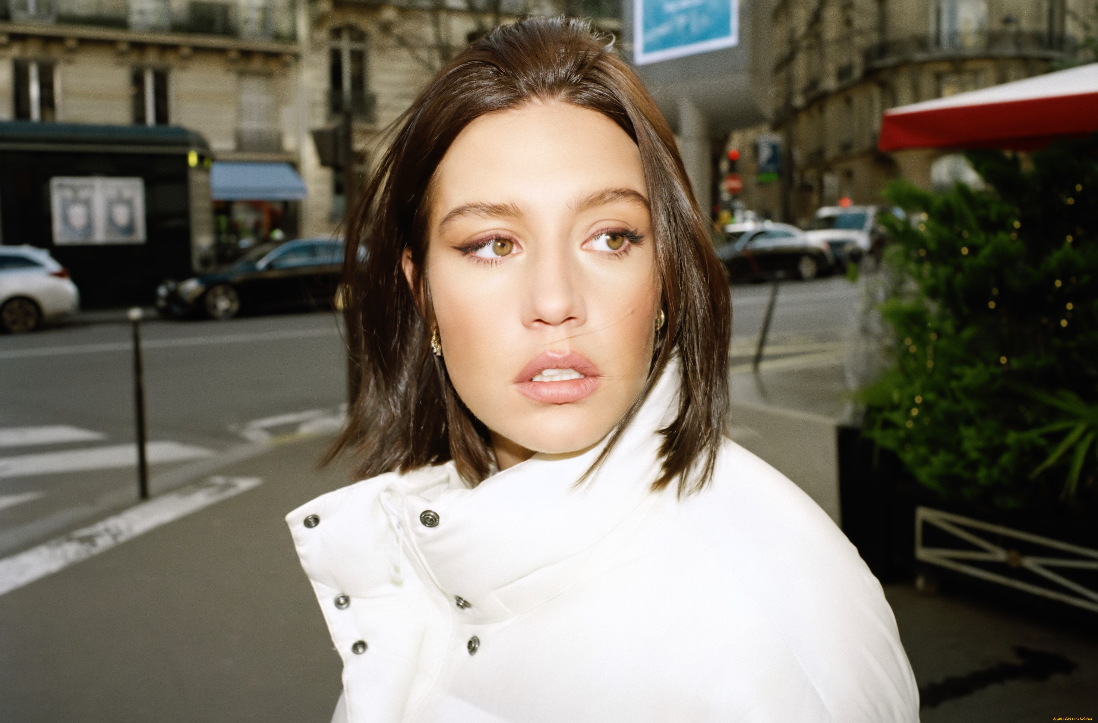 adele, exarchopoulos, девушки, шатенка, лицо, куртка, улица