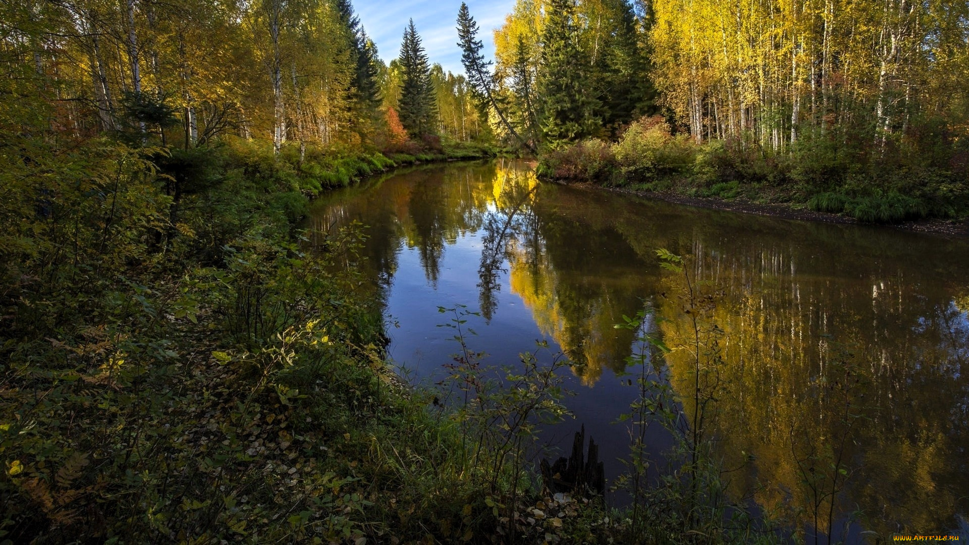 природа, реки, озера, река, лес, осень