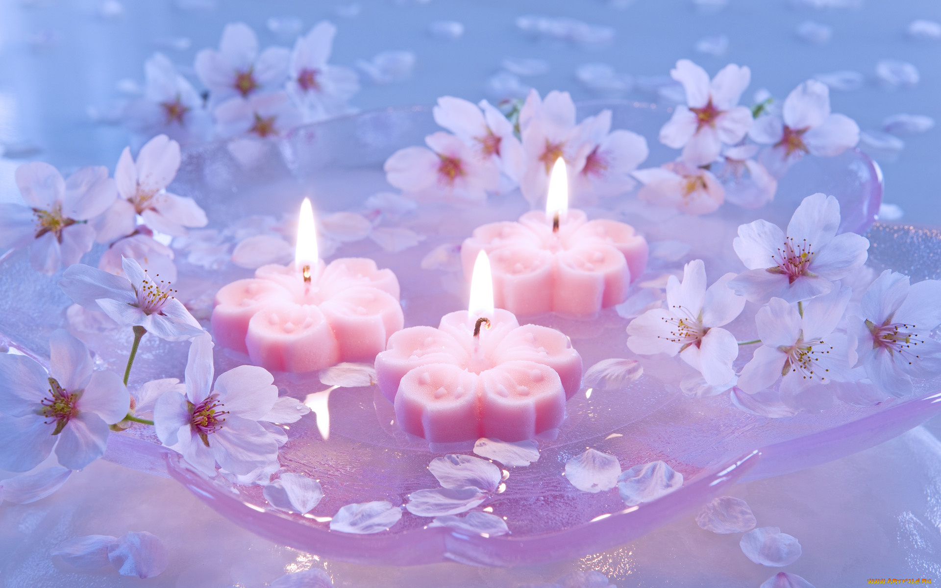 разное, свечи, цветы, романтика