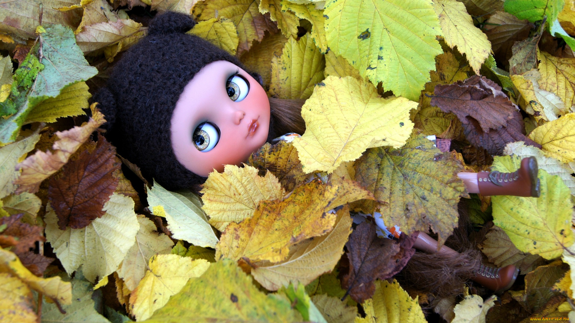 разное, игрушки, листья, осень, кукла