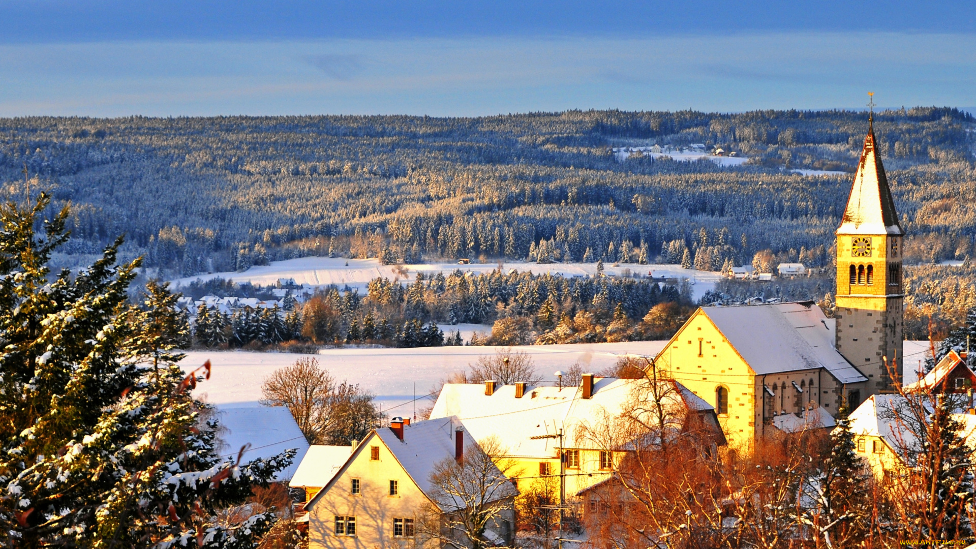 шварцвальд, германия, города, пейзажи, крыши, лес, снег, зима