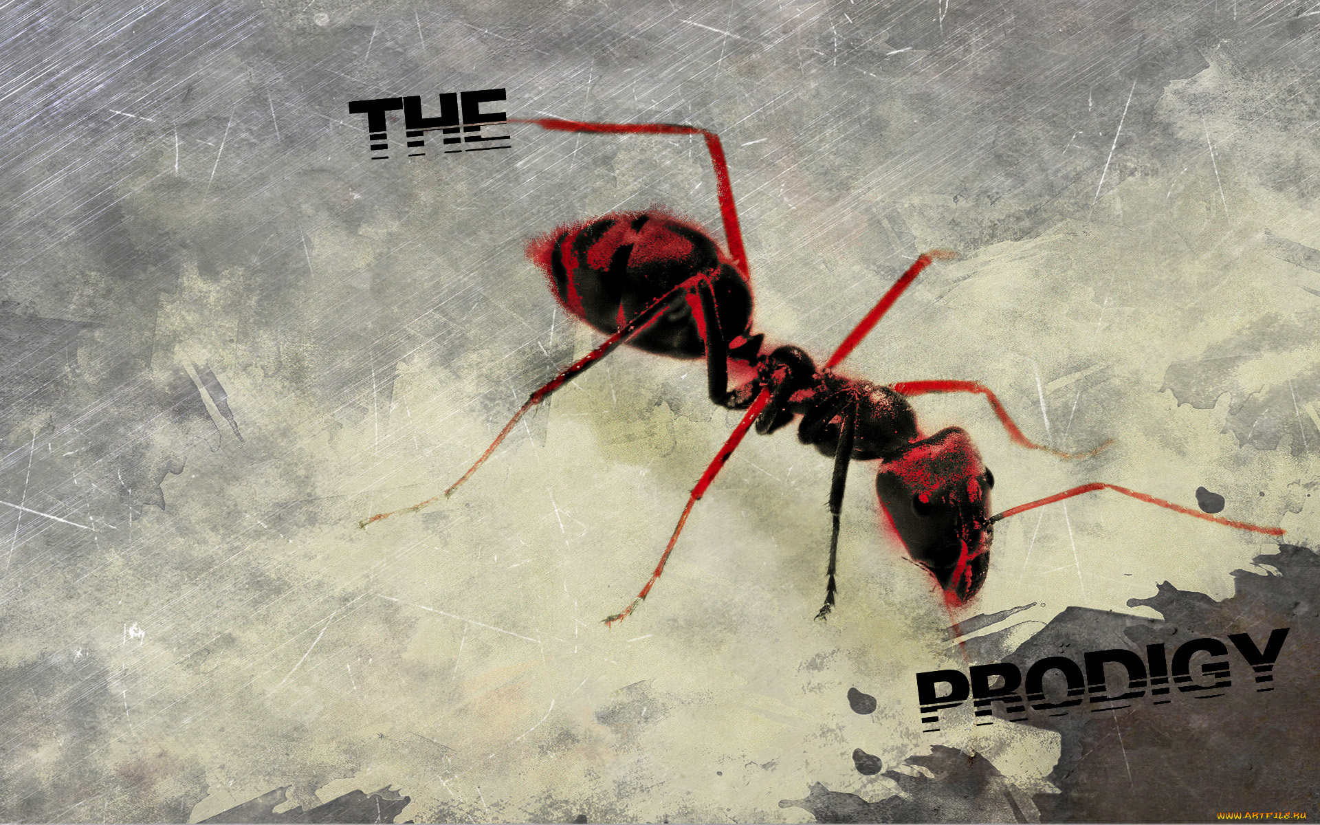 the, prodigy, музыка, лого, муравей