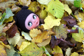 Картинка разное игрушки листья осень кукла