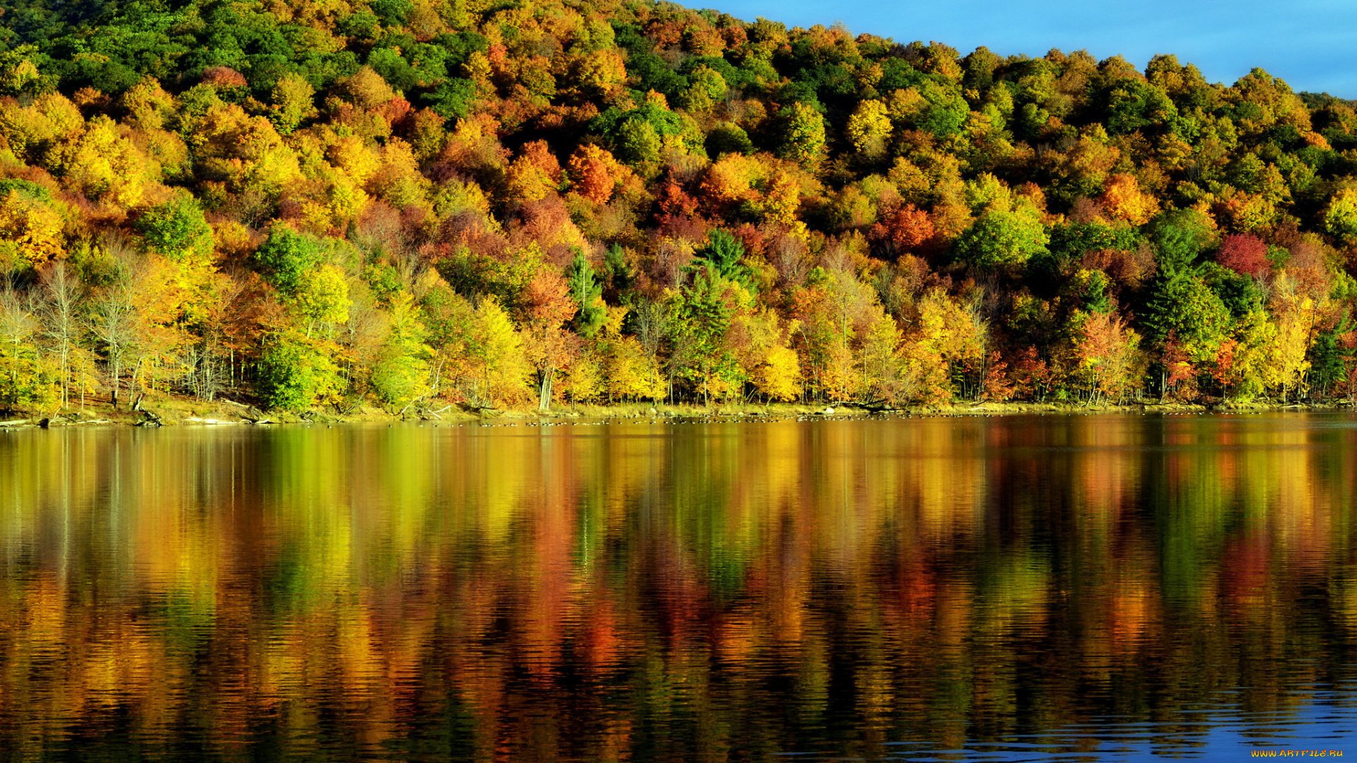 природа, реки, озера, осень, озеро, отражение, лес