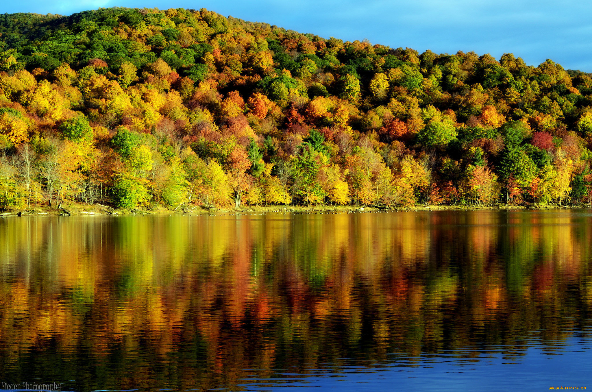природа, реки, озера, осень, озеро, отражение, лес
