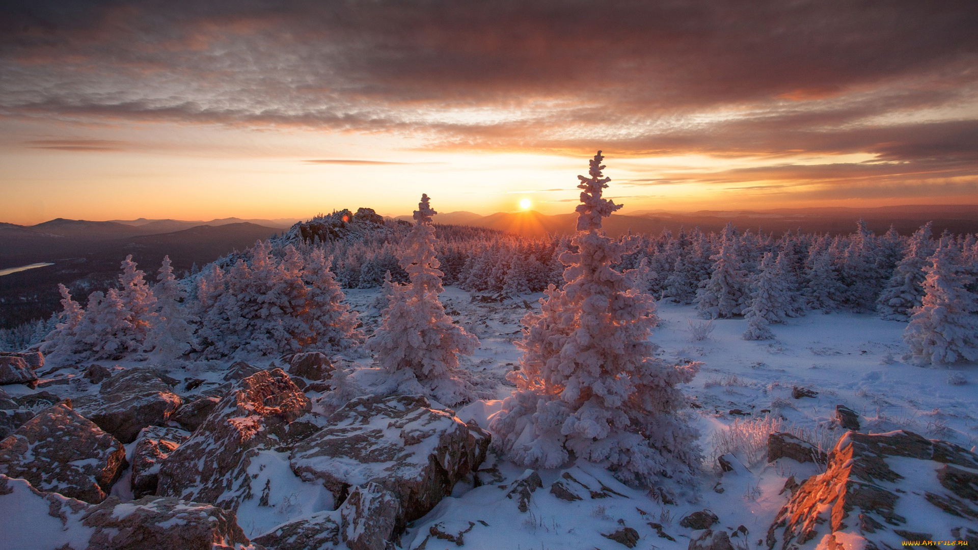 природа, восходы, закаты, деревья, зима, холод, россия, солнечный, свет