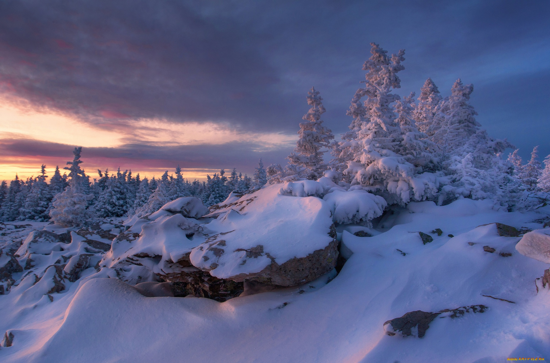 природа, зима, холод, деревья, снег, россия