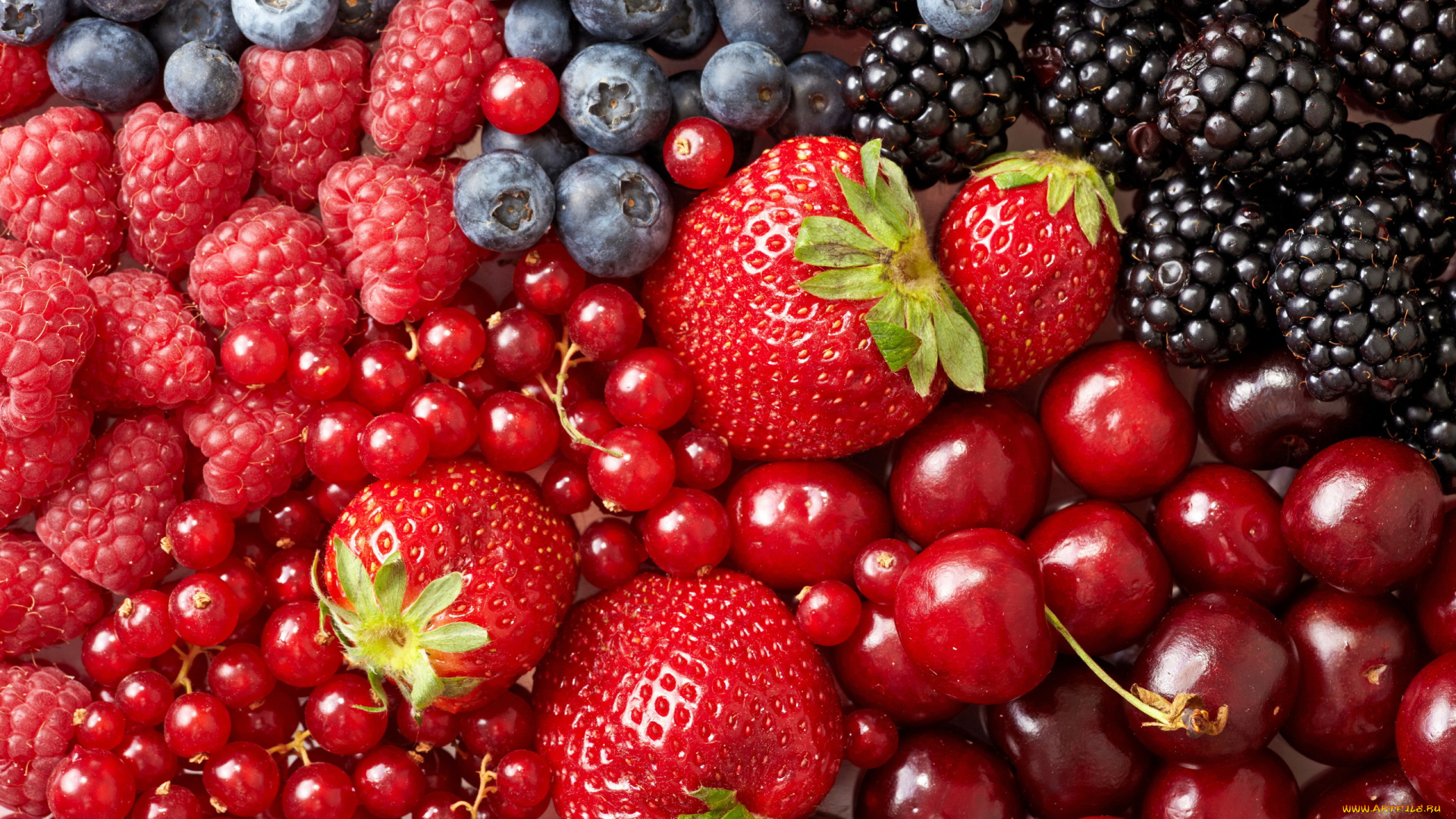 еда, фрукты, , ягоды, ягоды, клубника, ежевика, смородина, вишни, черника, малина