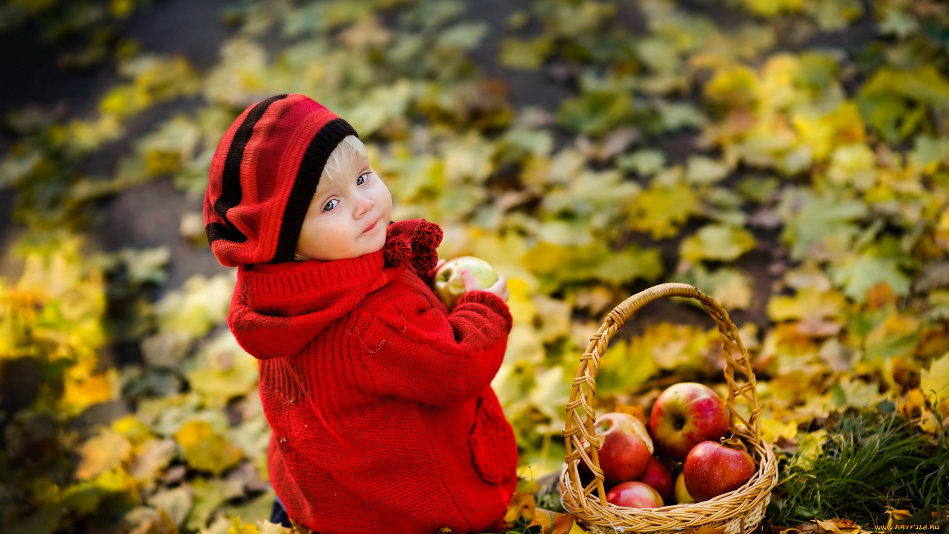 разное, дети, девочка, берет, корзина, яблоки, листья