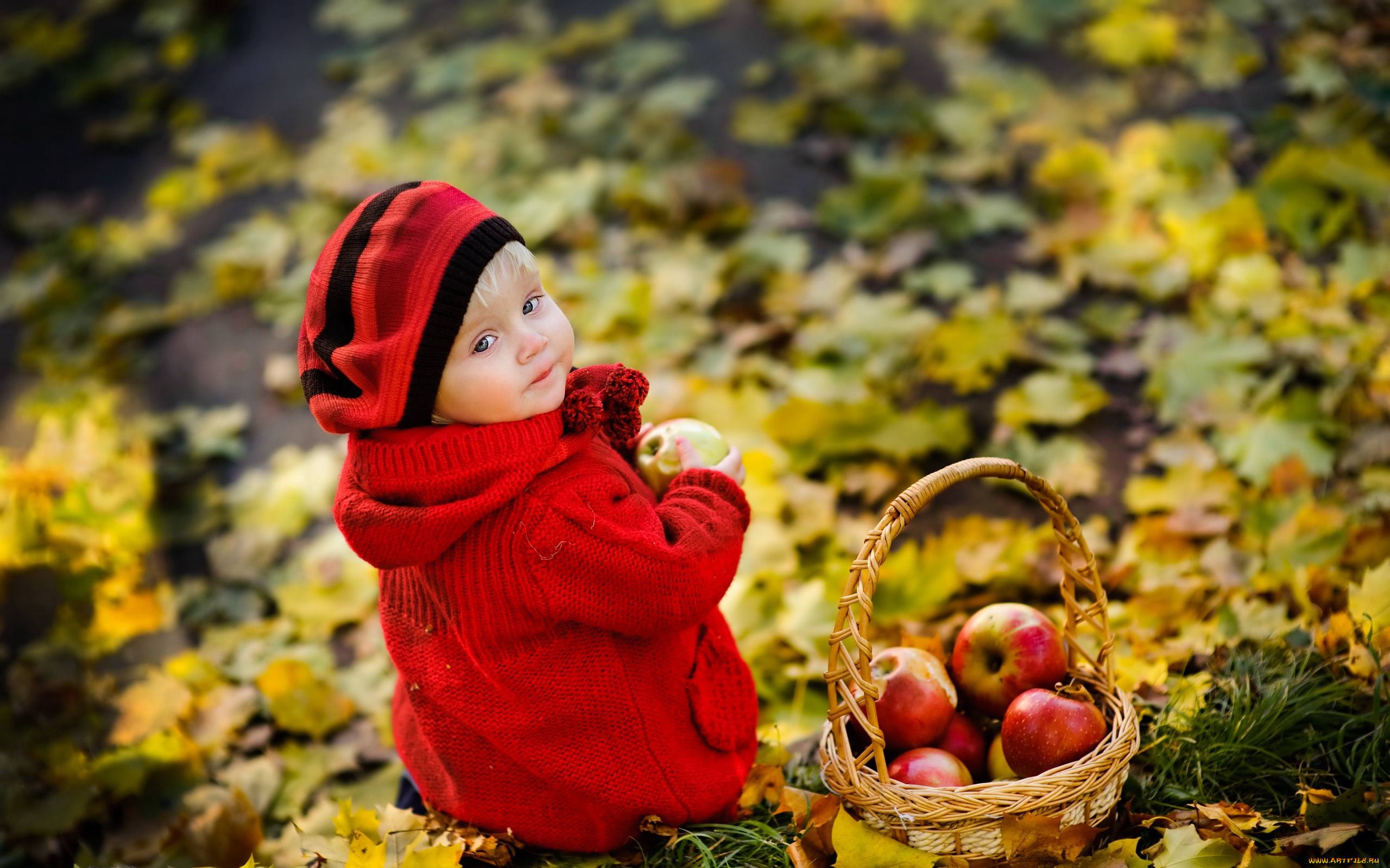 разное, дети, девочка, берет, корзина, яблоки, листья