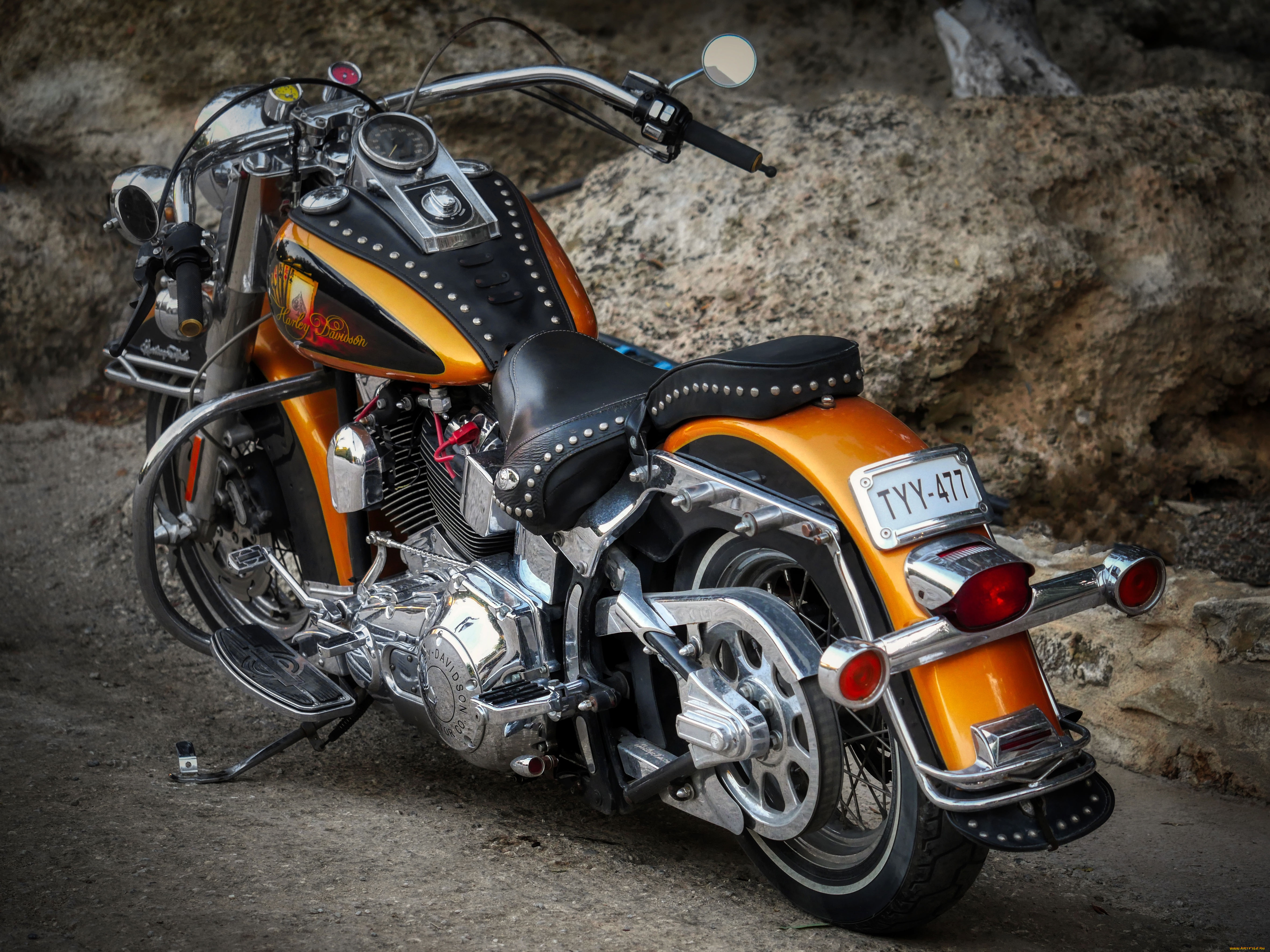 harley, мотоциклы, harley-davidson, мотоцикл, байк