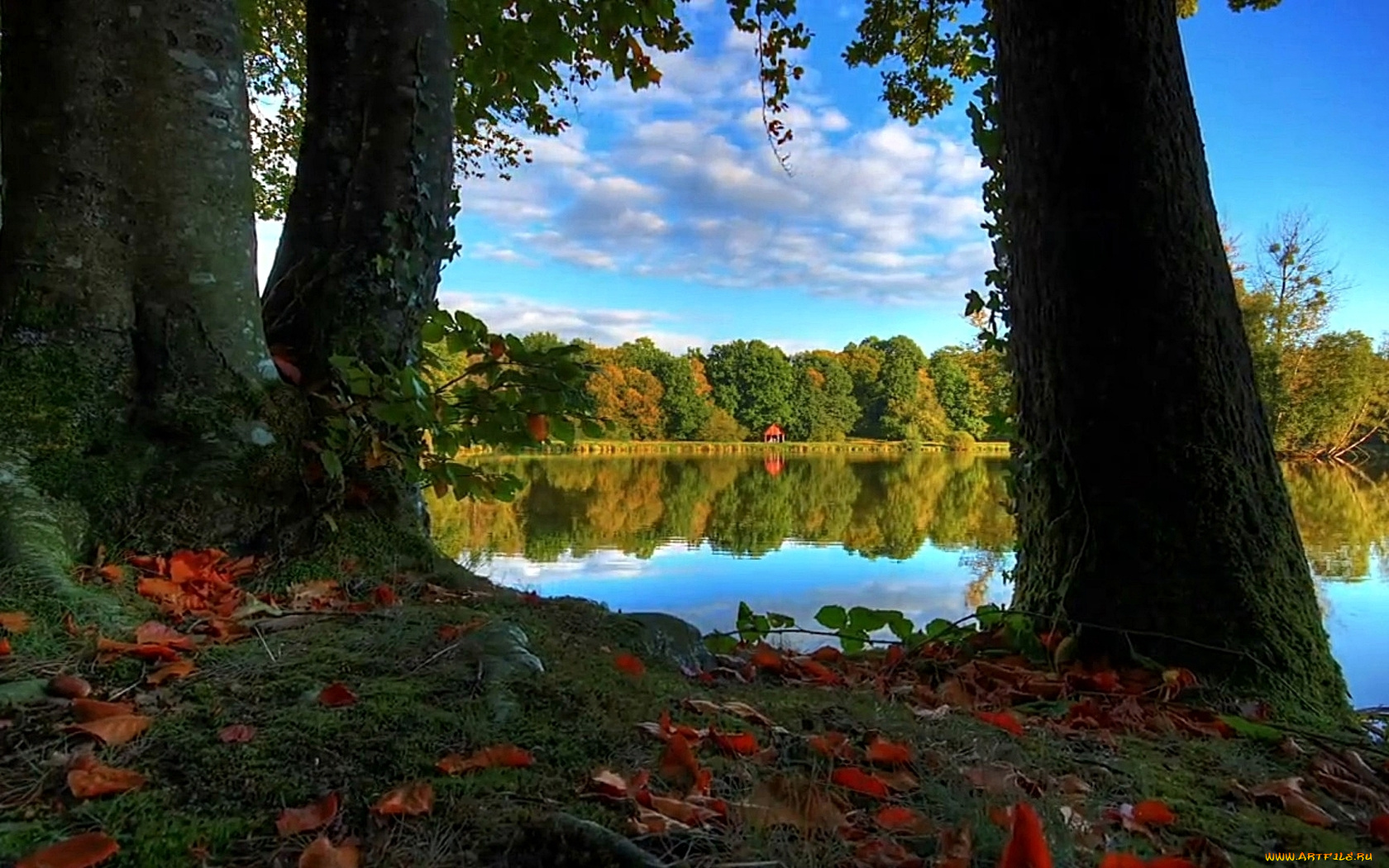 природа, реки, озера, осень, деревья, листья, озеро