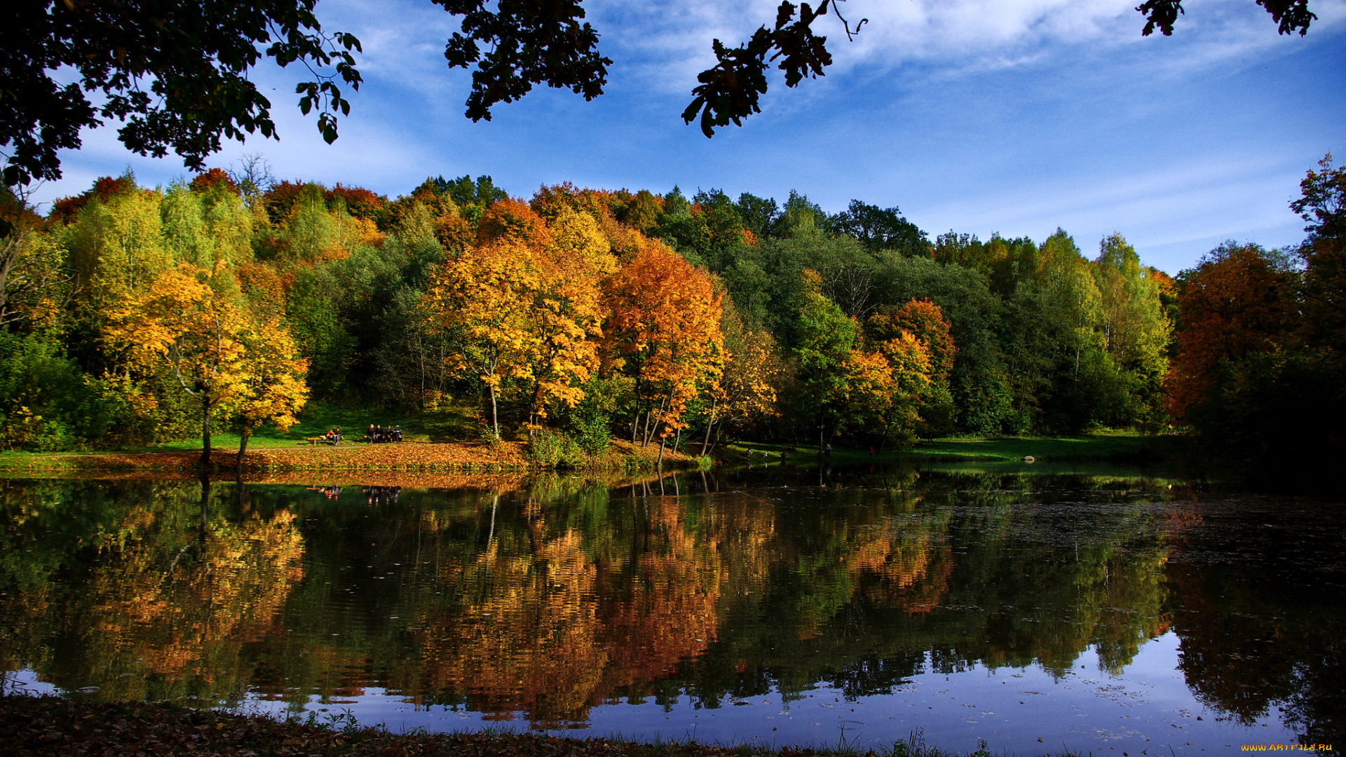 markuchiai, park, литва, вильнюс, природа, парк, река, деревья