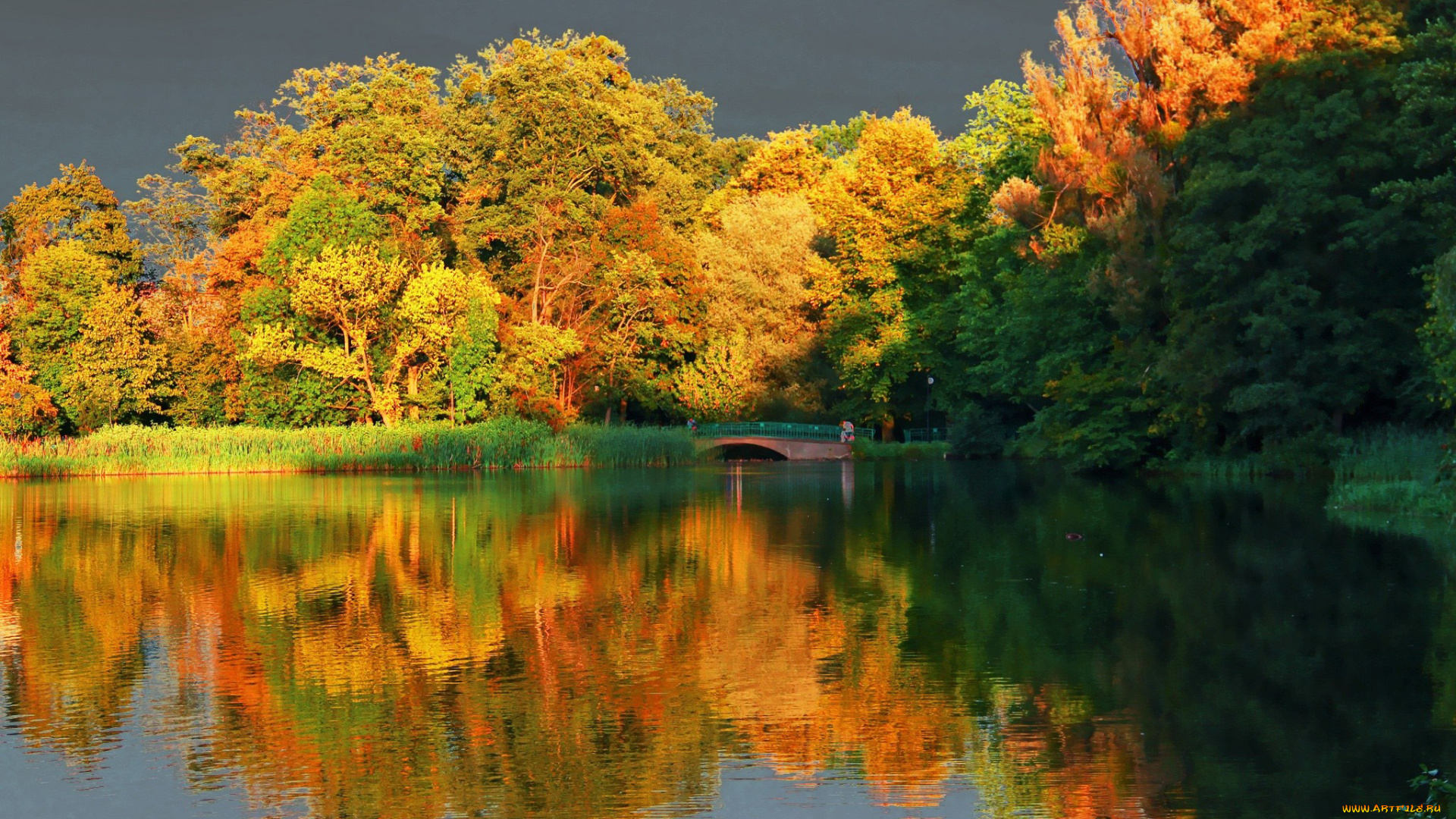 природа, парк, озеро, мостик, деревья, осень