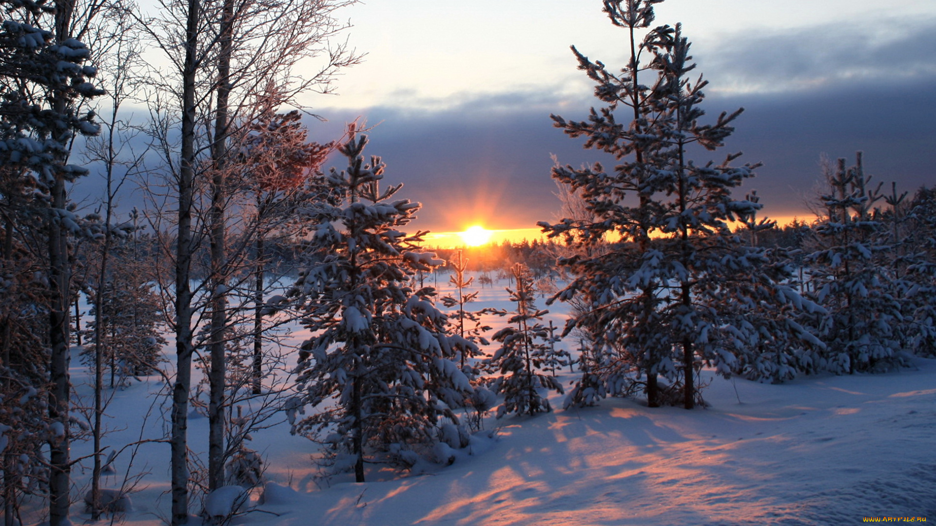 природа, зима, лес, снег, закат