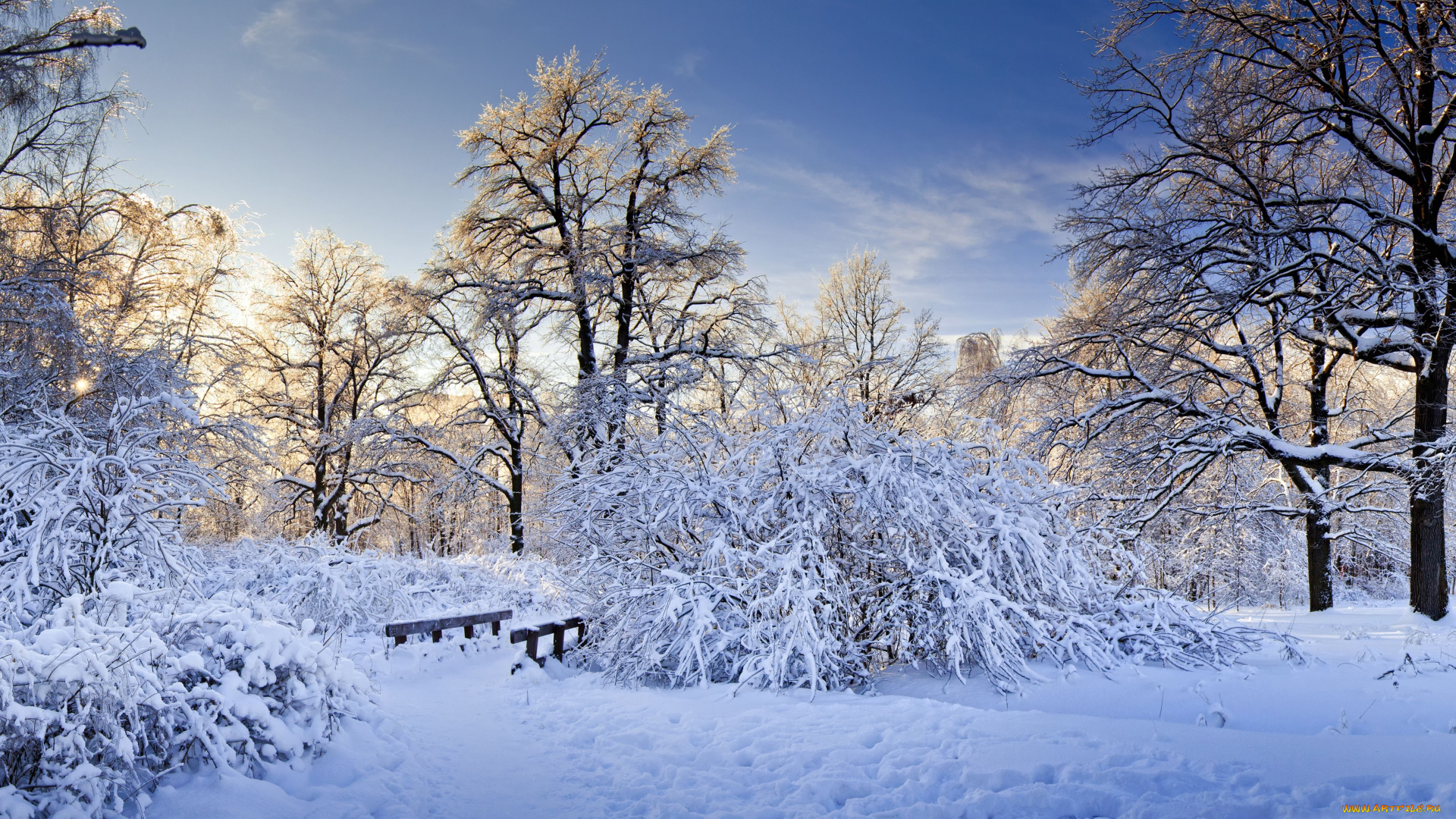 природа, зима, мостик, кусты, деревья, снег
