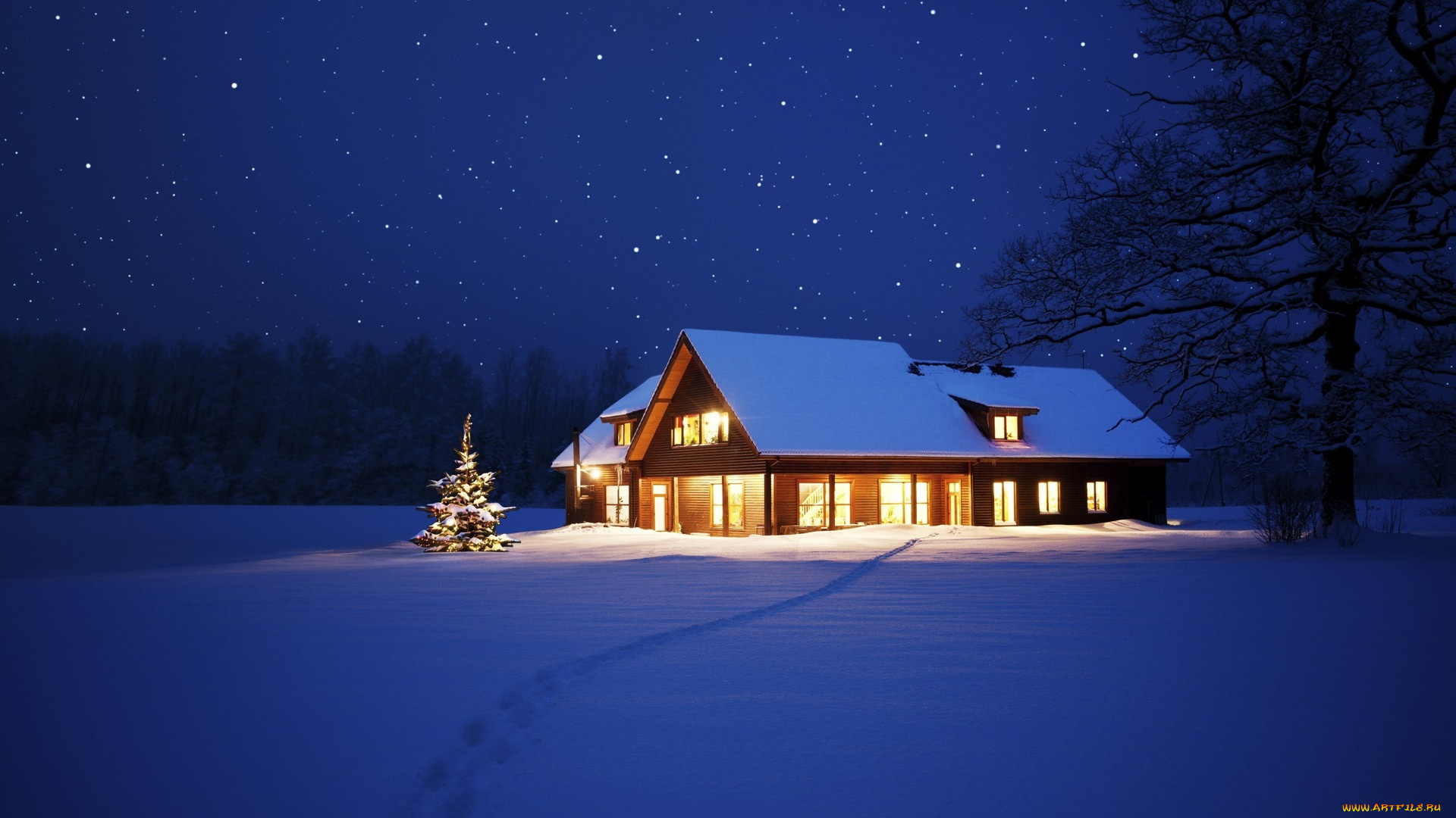 природа, зима, ночь, снег, дом, елка