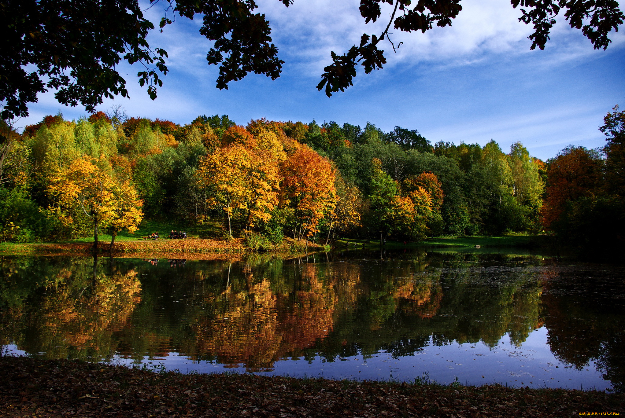 markuchiai, park, литва, вильнюс, природа, парк, река, деревья