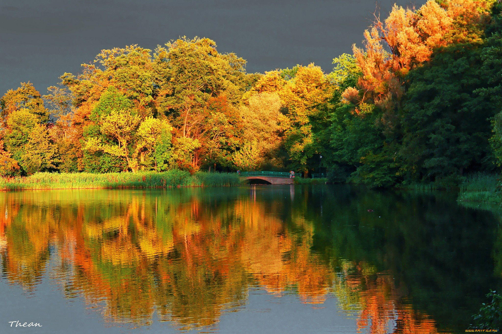 природа, парк, озеро, мостик, деревья, осень