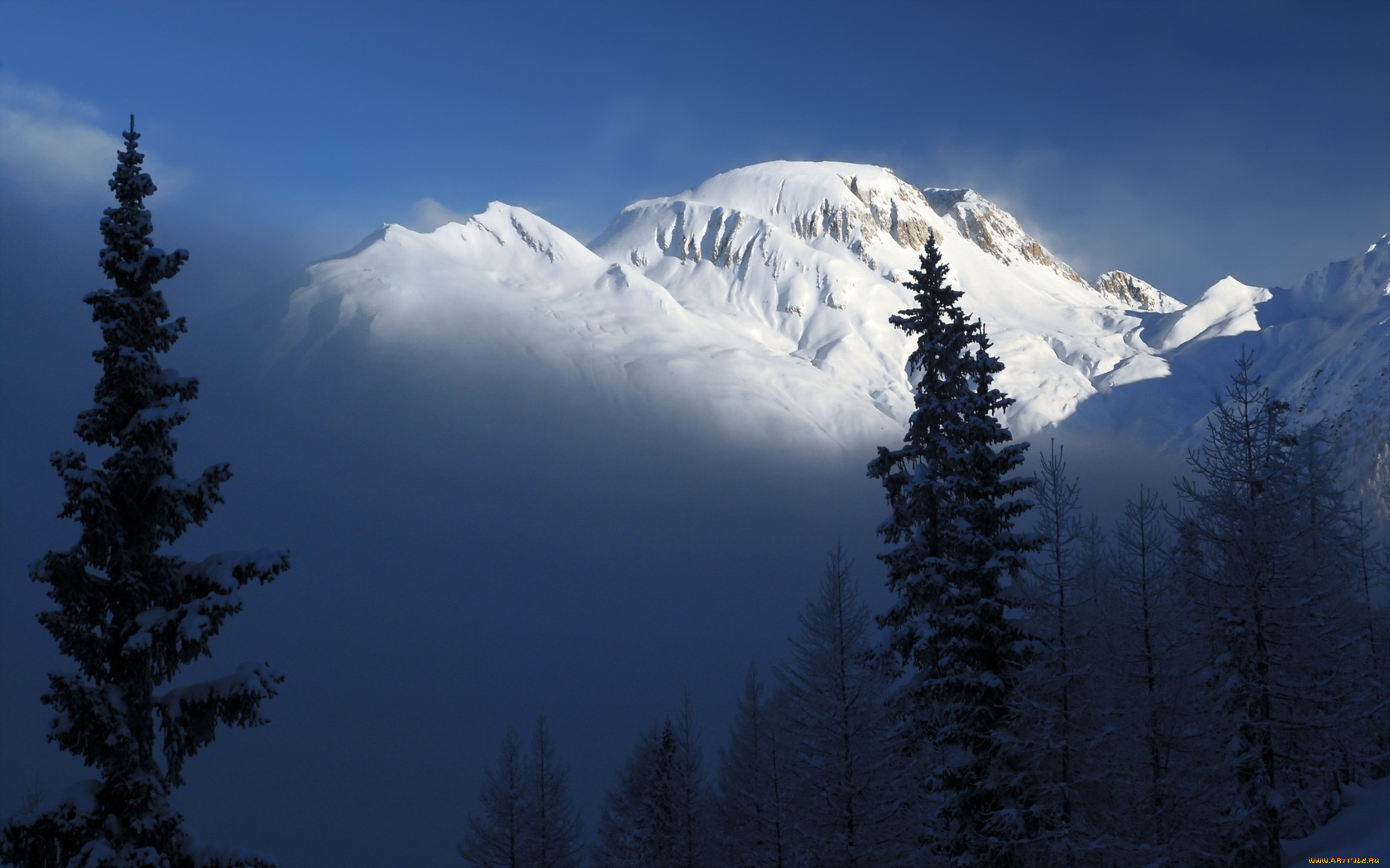 nevada, mountains, природа, горы, вершина, снега, лес