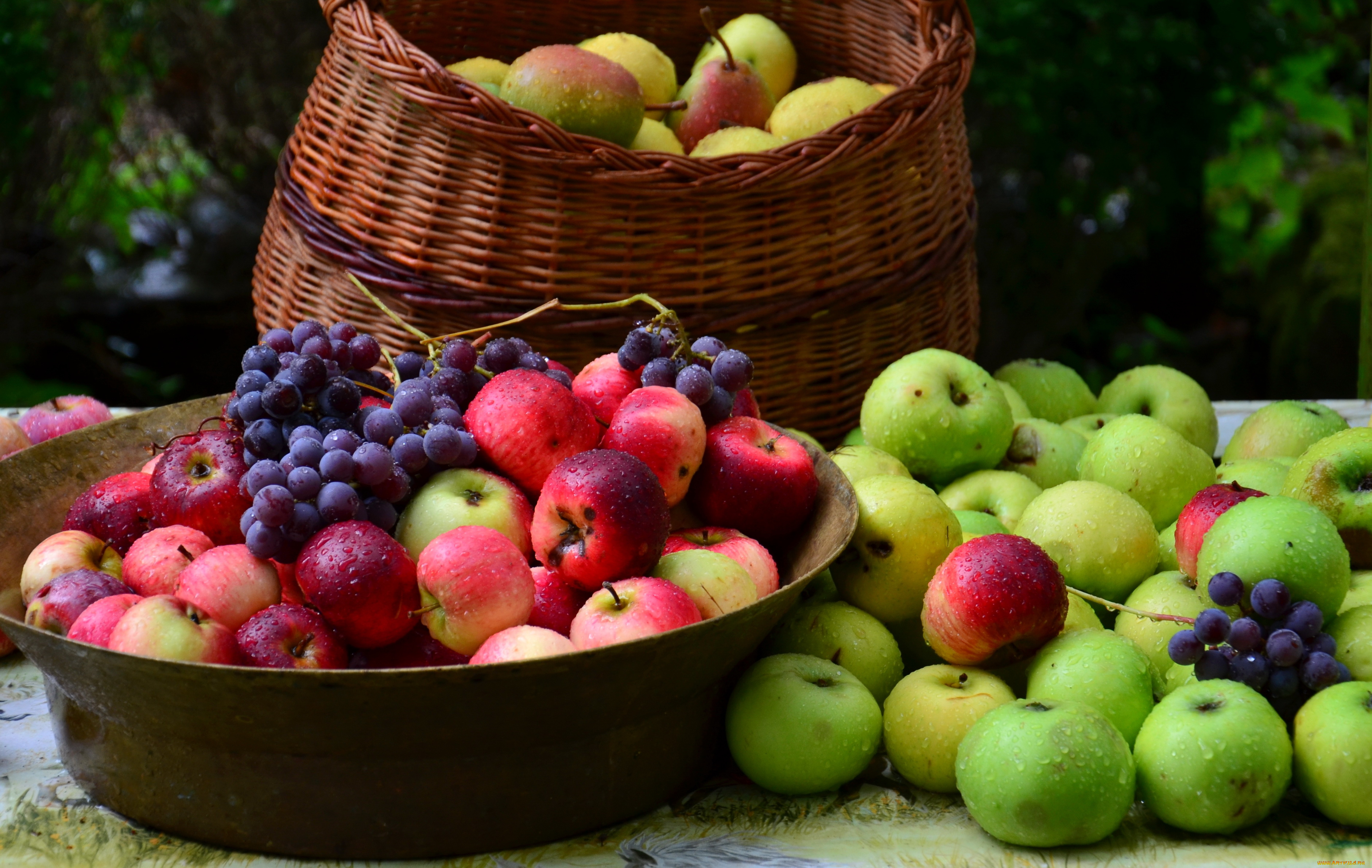 еда, фрукты, ягоды, яблоки, сливы, груши