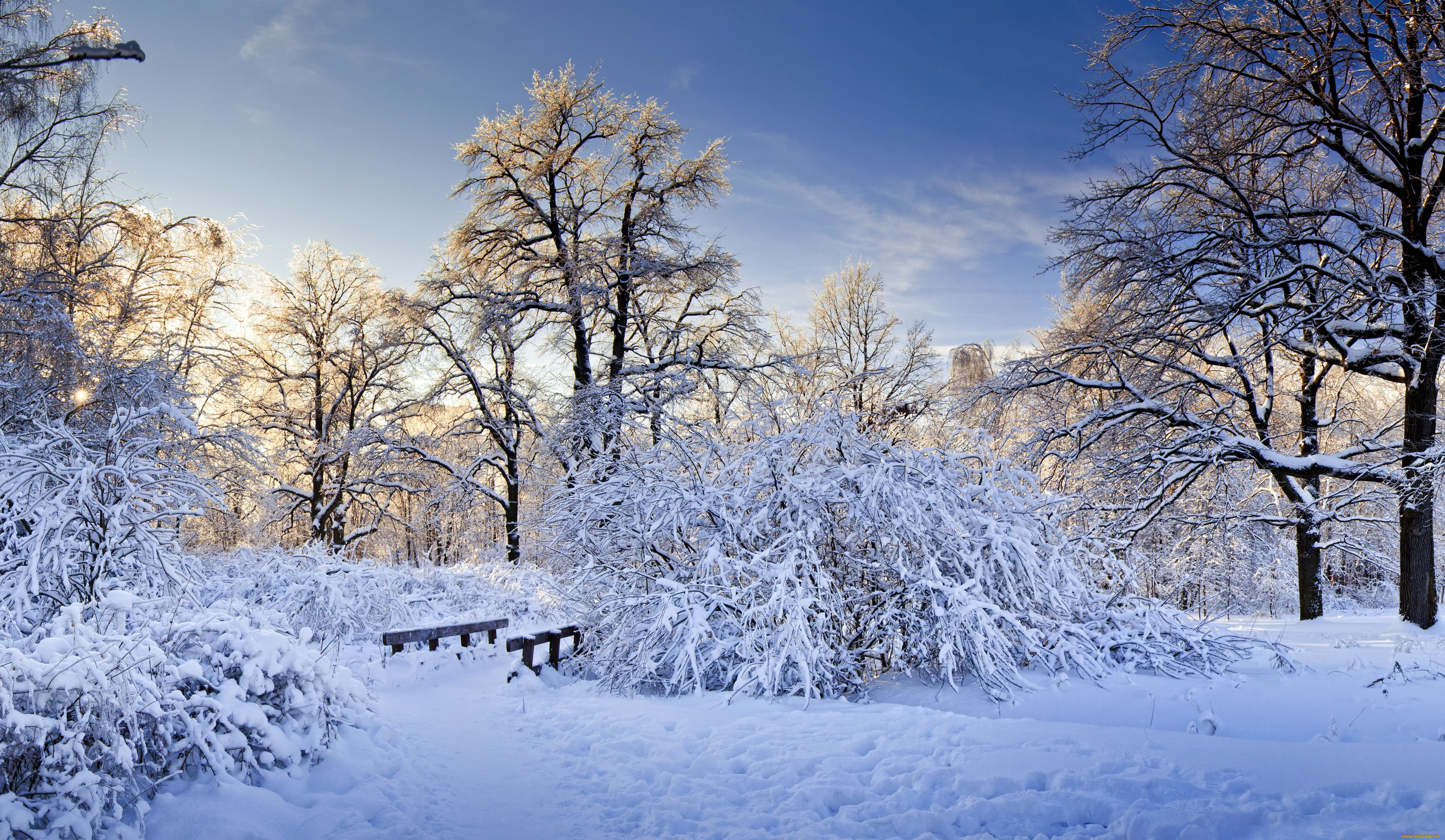 природа, зима, мостик, кусты, деревья, снег