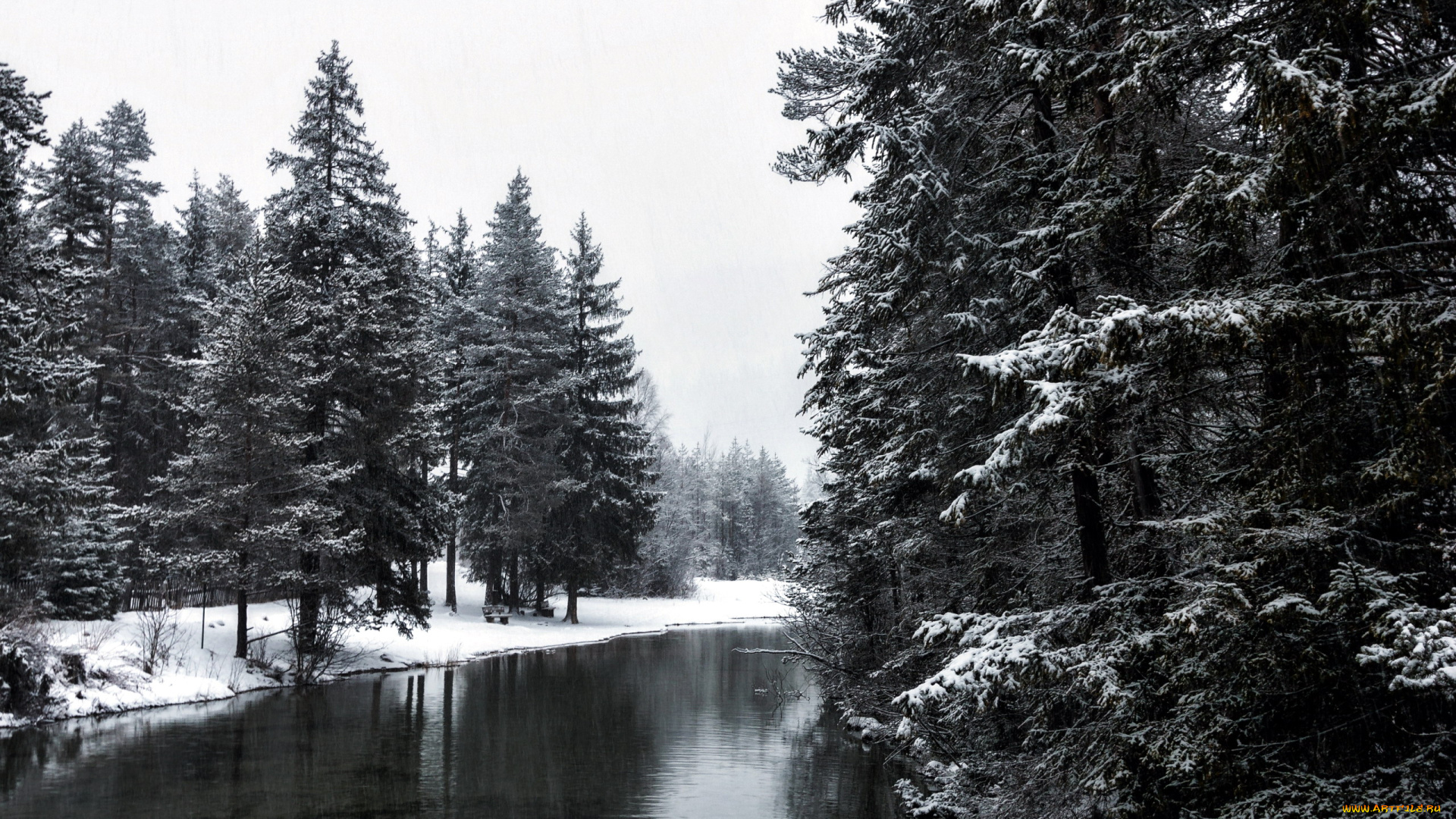 природа, реки, озера, река, елки, снег