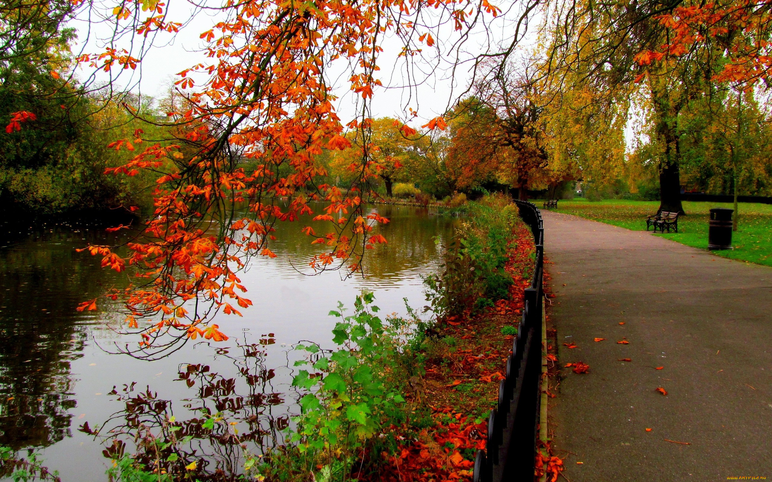 природа, парк, река, аллея, осень, листопад