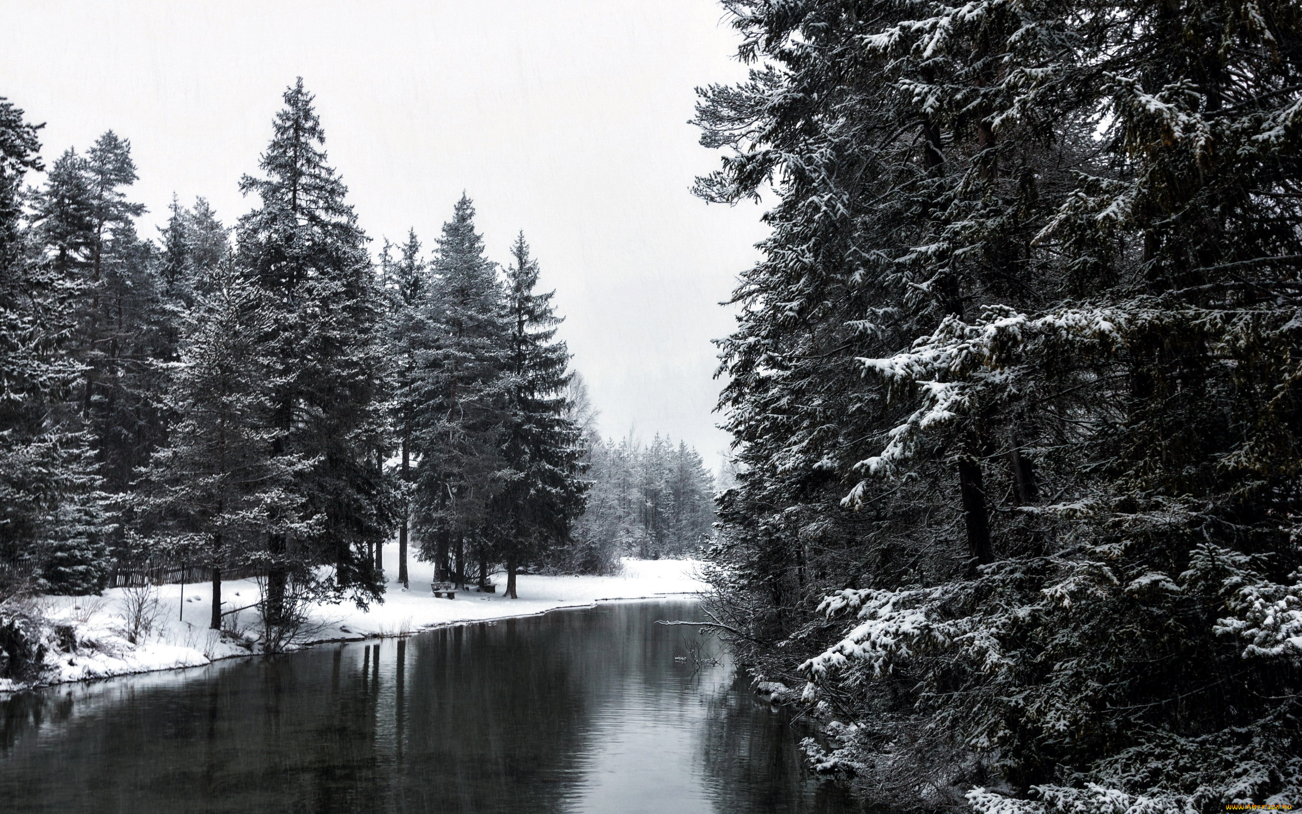 природа, реки, озера, река, елки, снег